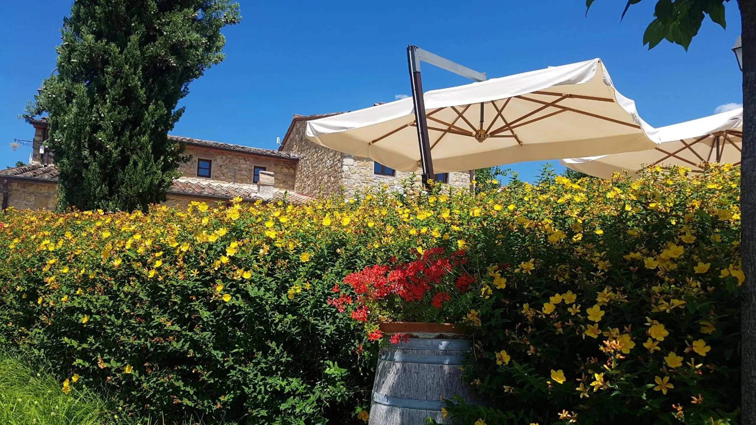 Property building in Poggio Cennina Resort