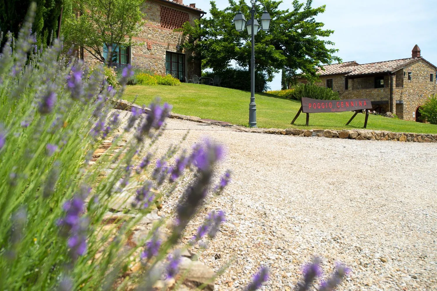 Garden in Poggio Cennina Resort
