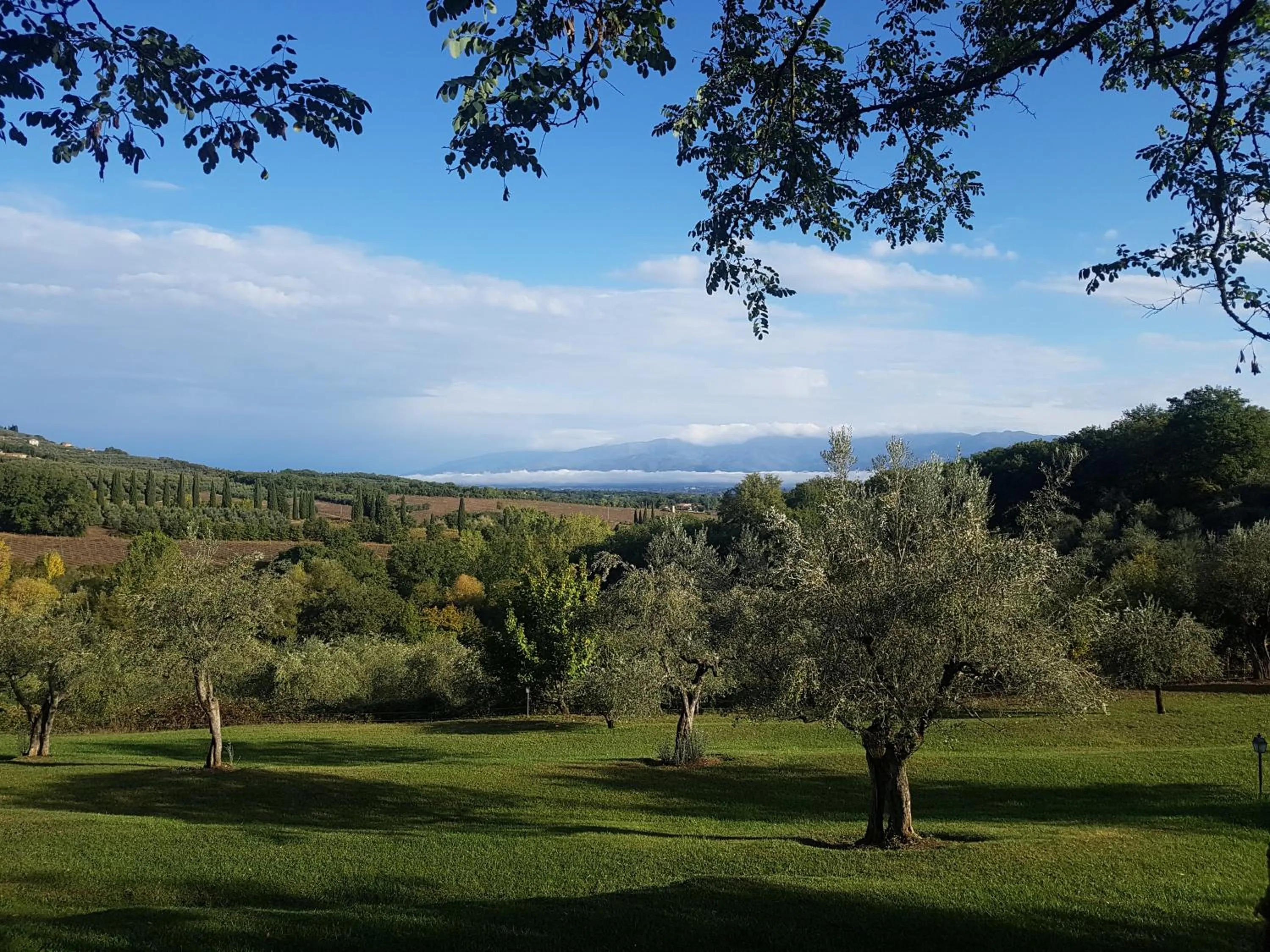 Natural landscape in Poggio Cennina Resort