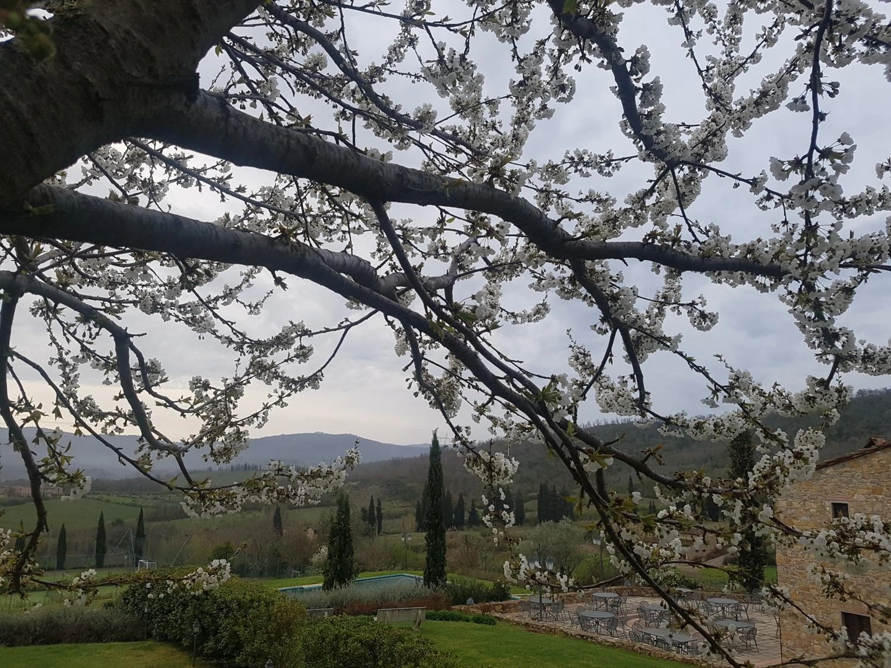 Natural landscape in Poggio Cennina Resort