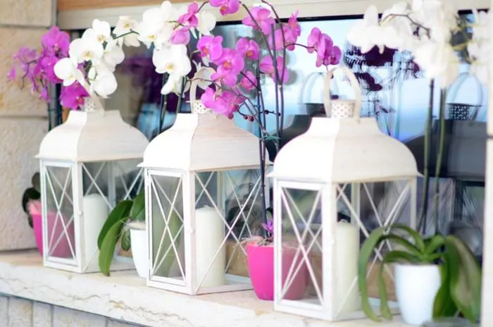 Decorative detail in Torre Degli Ulivi