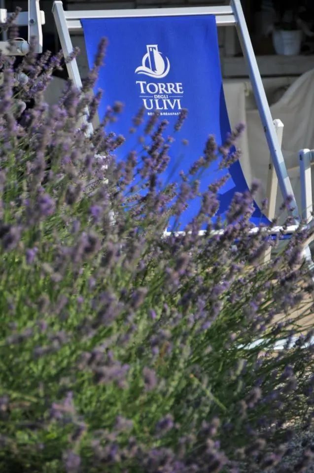 Decorative detail in Torre Degli Ulivi