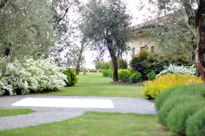 Day in Torre Degli Ulivi