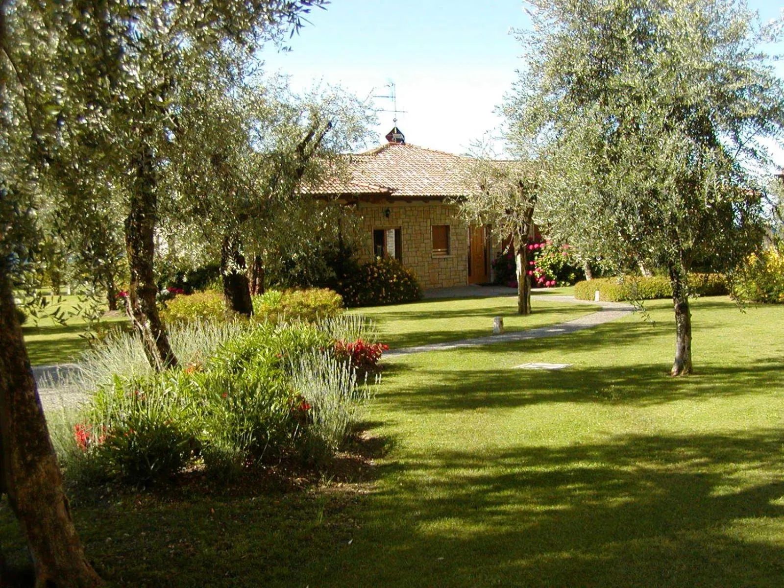 Garden in Torre Degli Ulivi