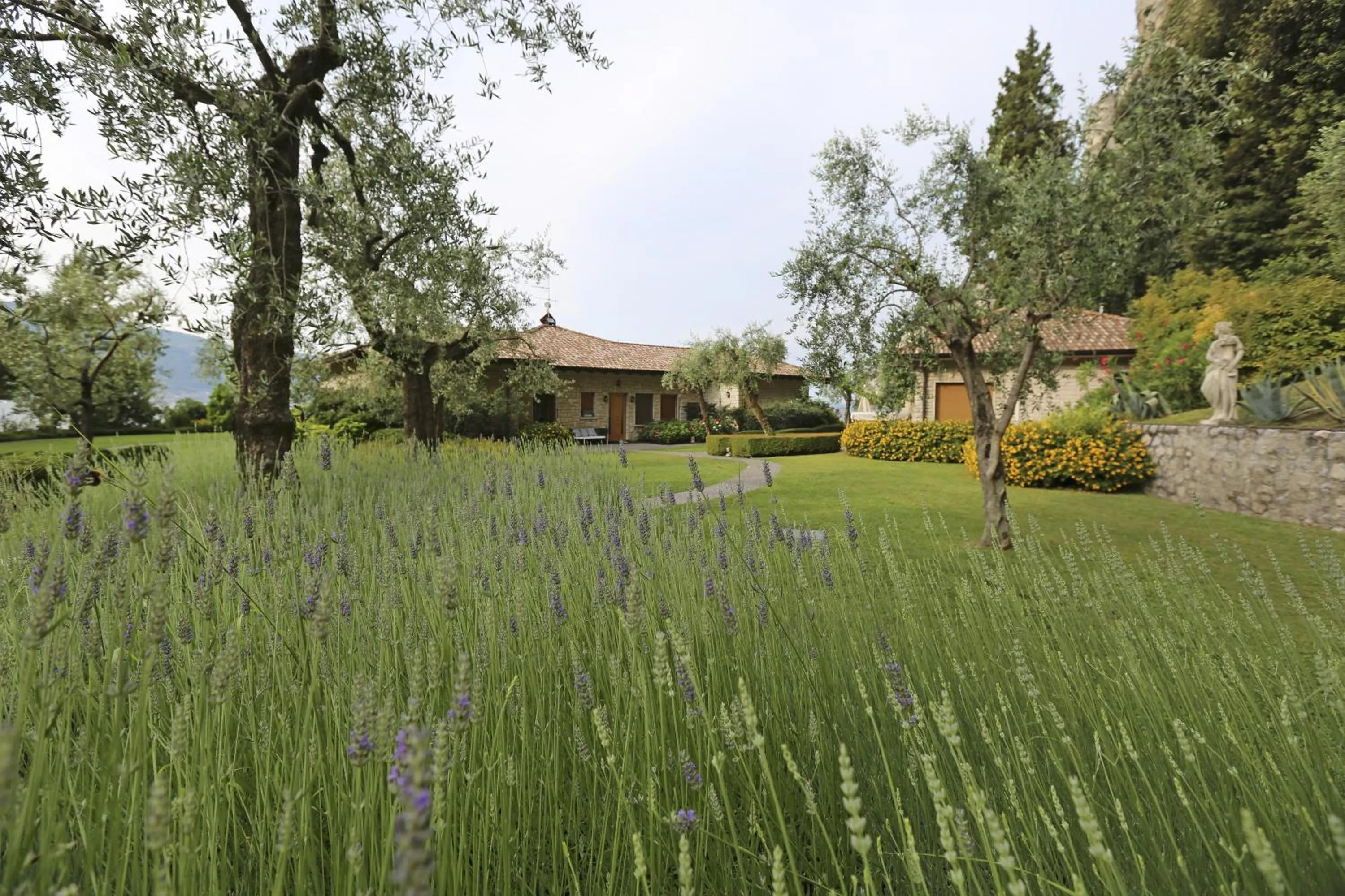 Garden in Torre Degli Ulivi