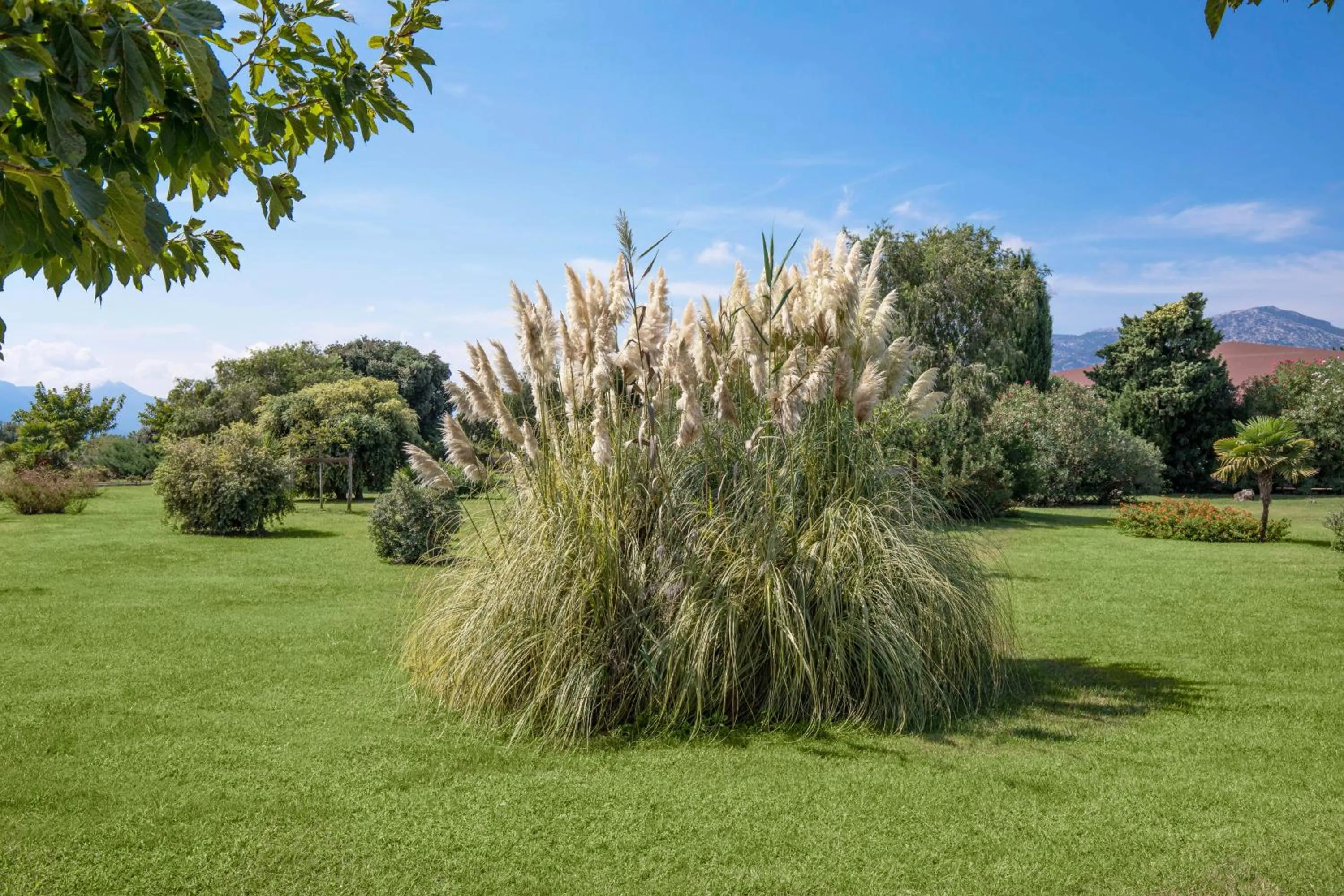 Garden in Sentido Orosei Beach