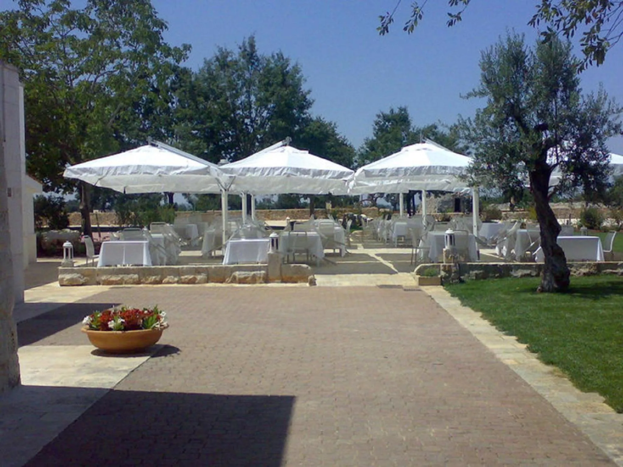 Restaurant/places to eat in Masseria Torre Catena Resort & Restaurant