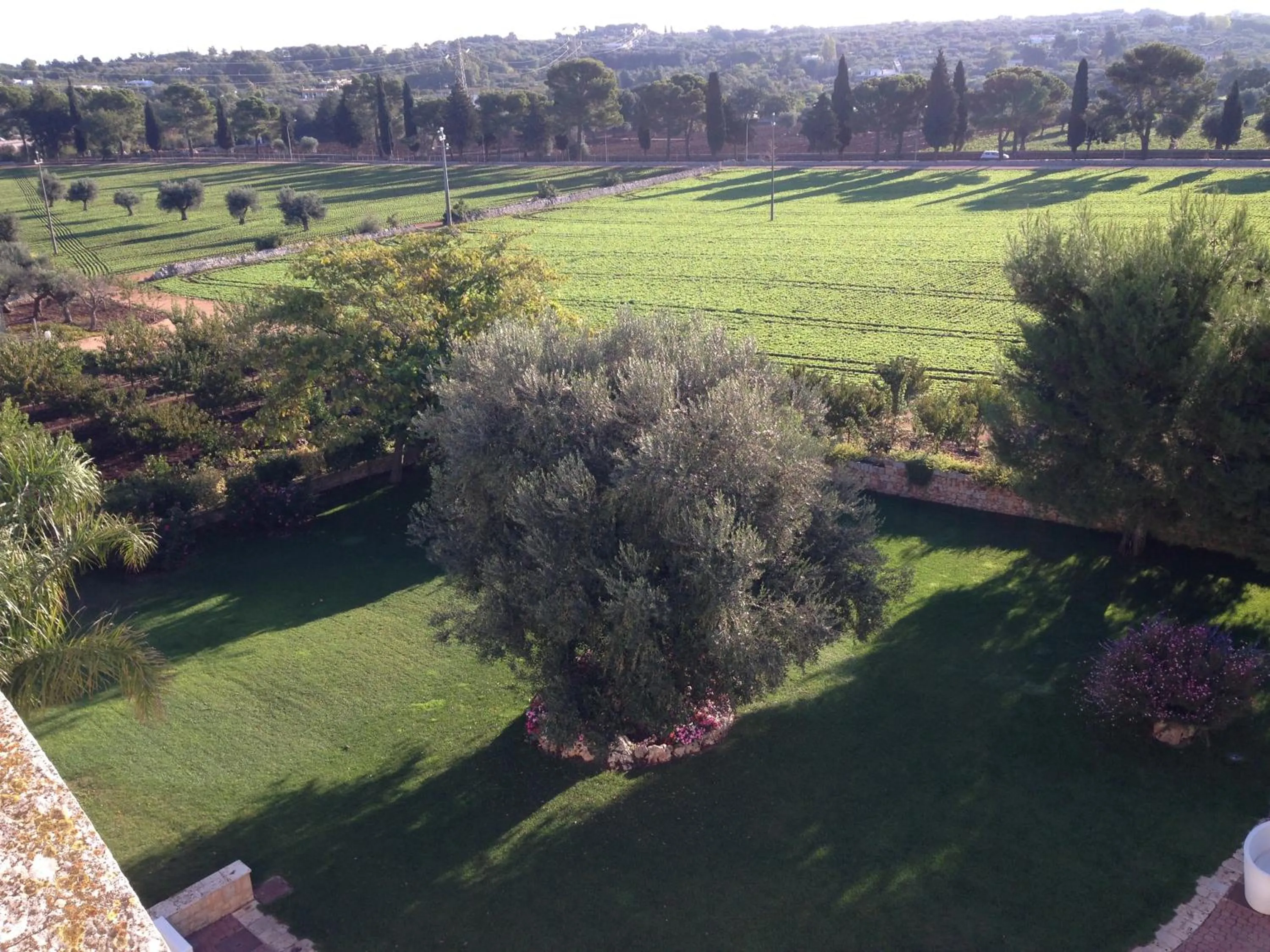 Bird's eye view, Garden View in Masseria Torre Catena Resort & Restaurant