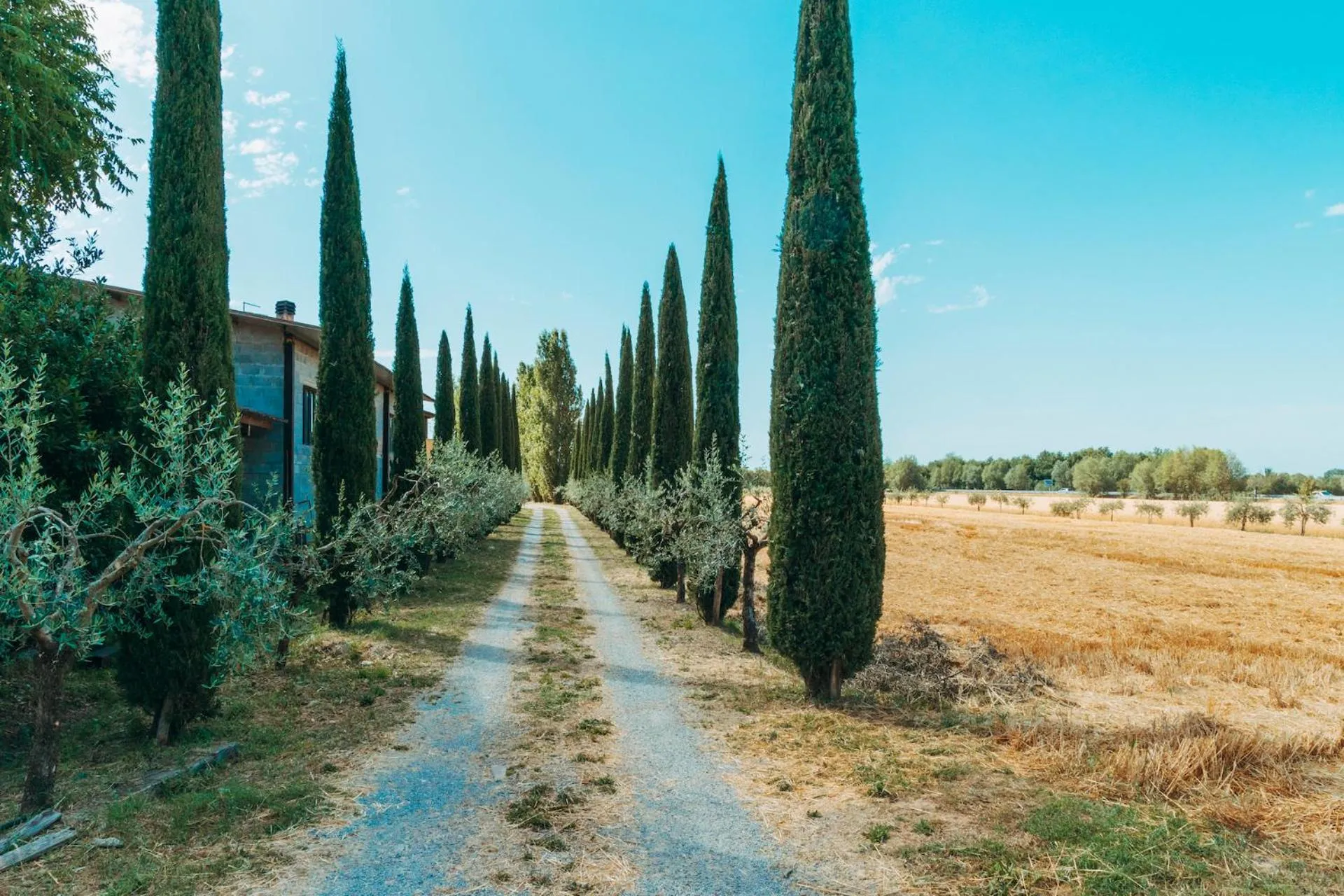 Agriturismo Il Borgo