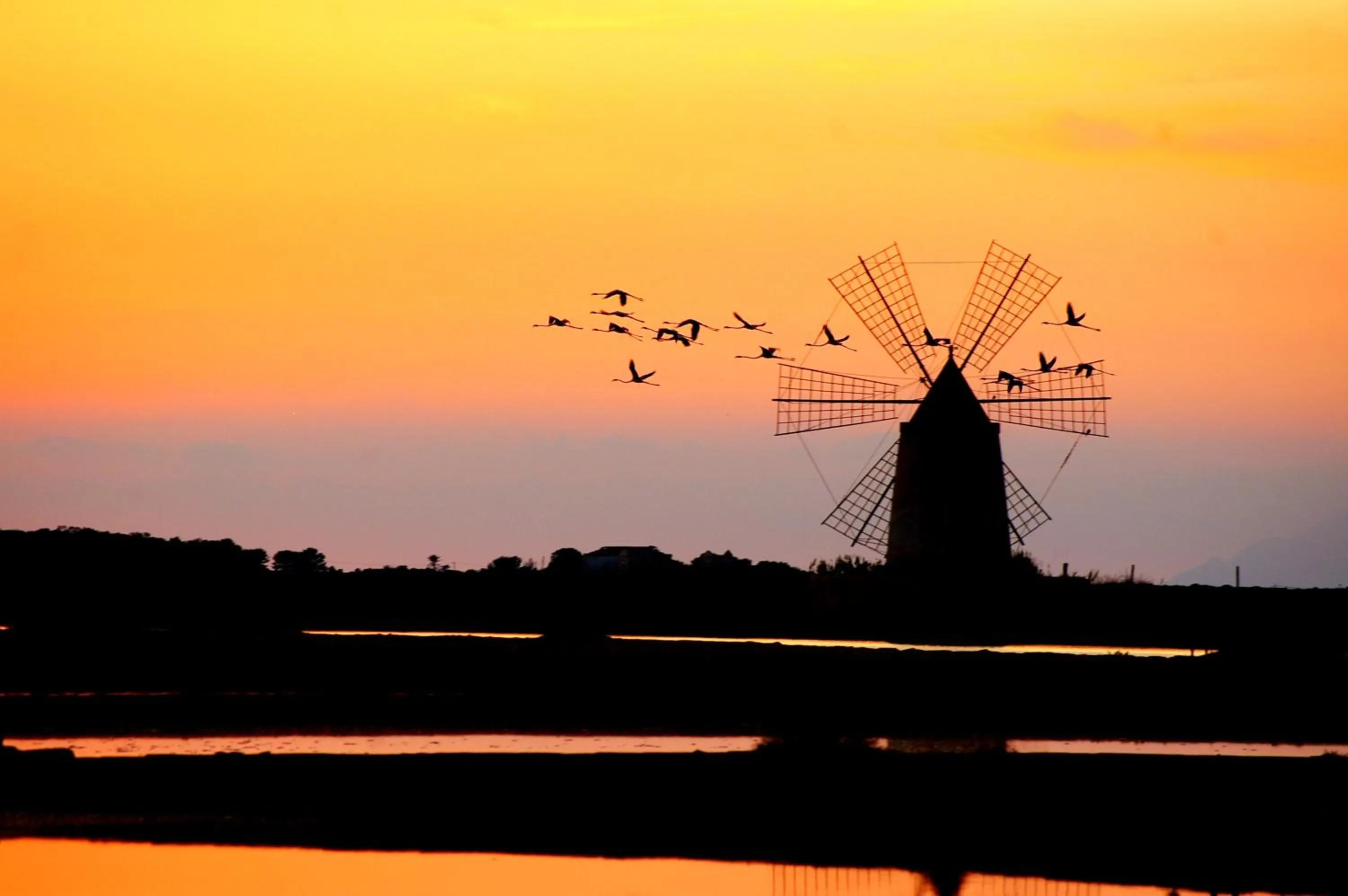 Bird's eye view in Al Vecchio Pontile Vista mare Bnb