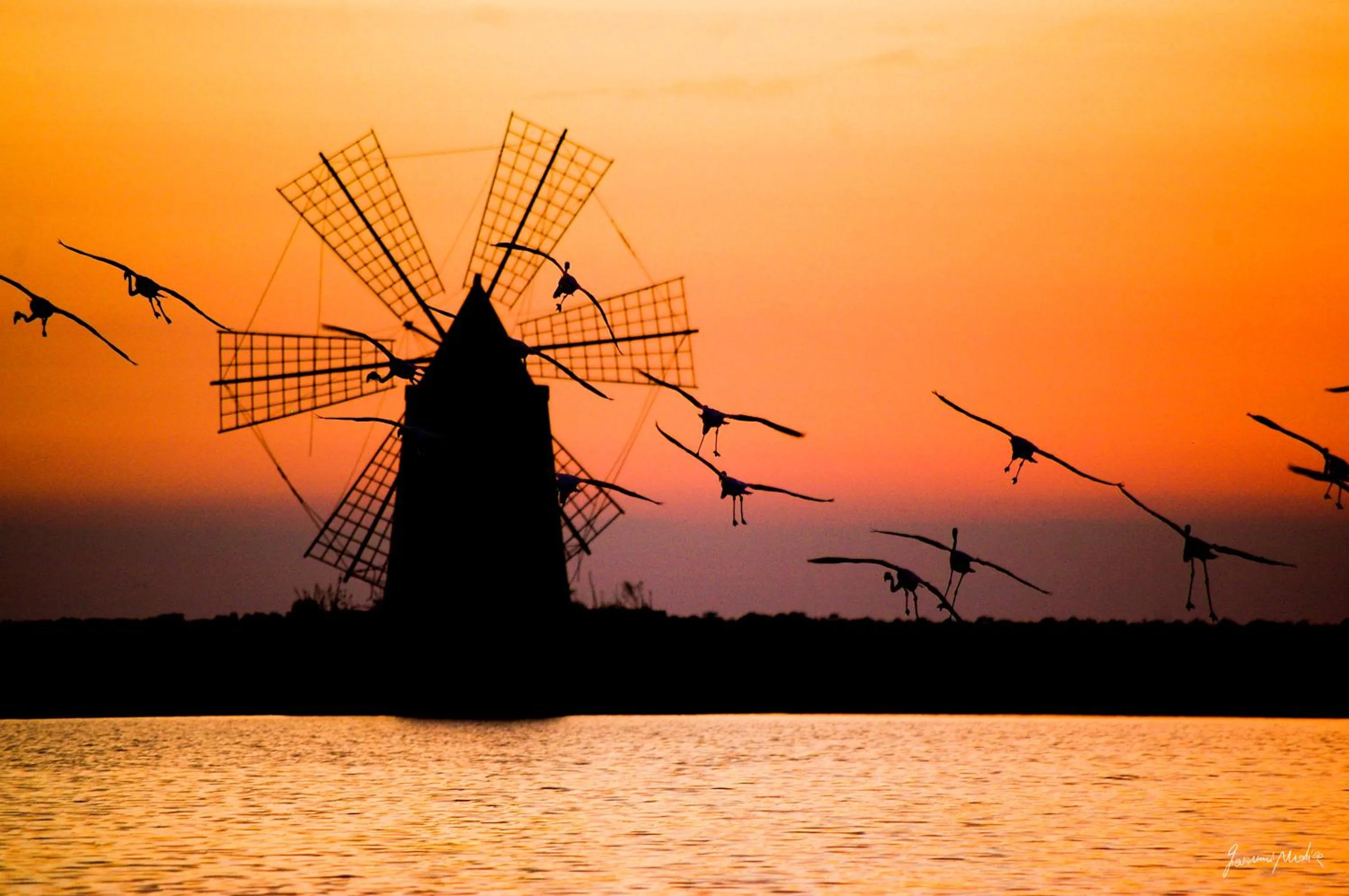 Sunset in B&B Al Vecchio Pontile B&B MARSALA