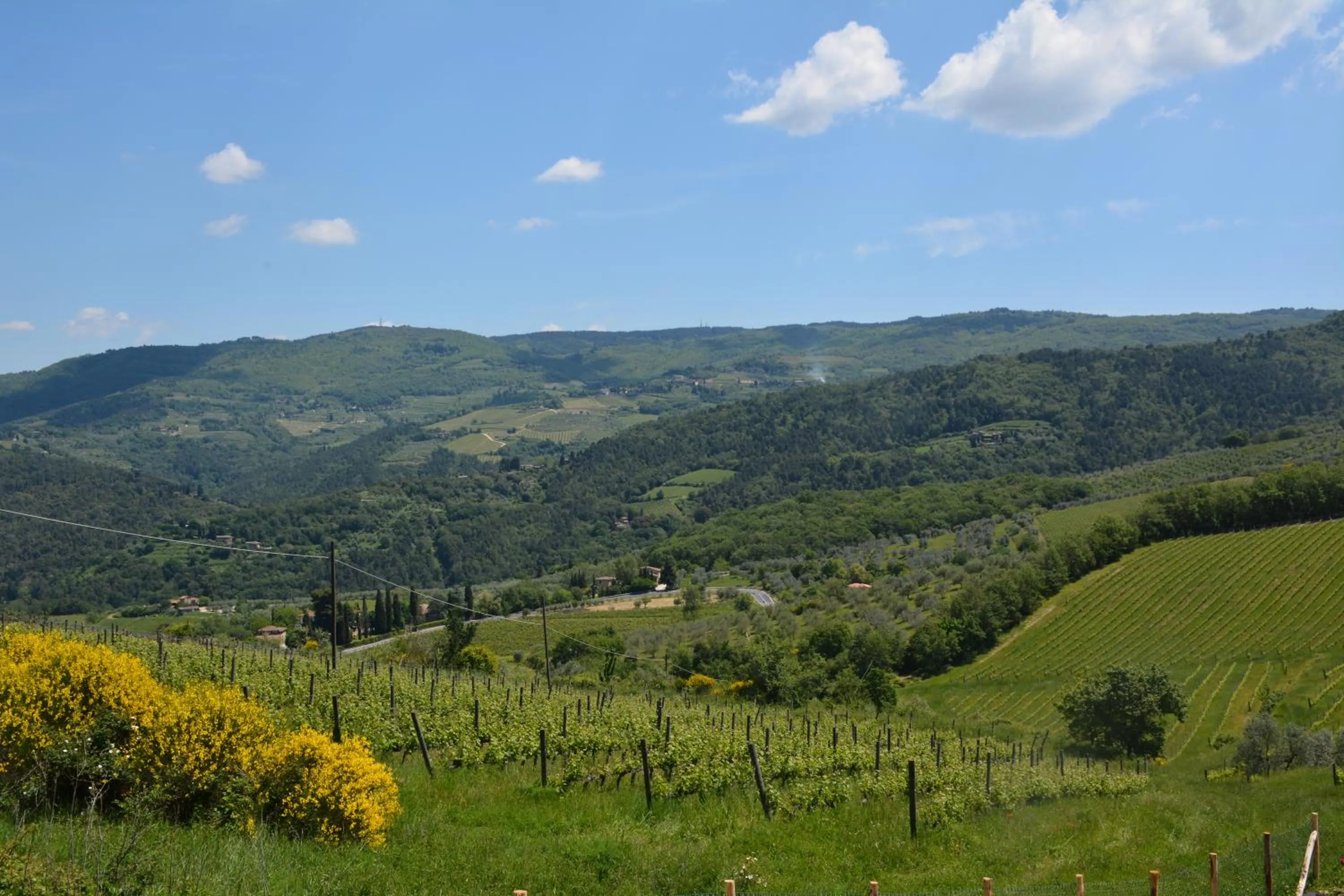 Natural landscape in Rosso Del Chianti