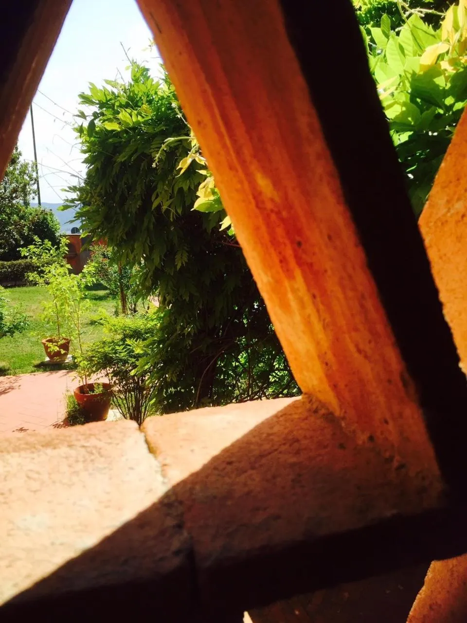 Garden in Rosso Del Chianti