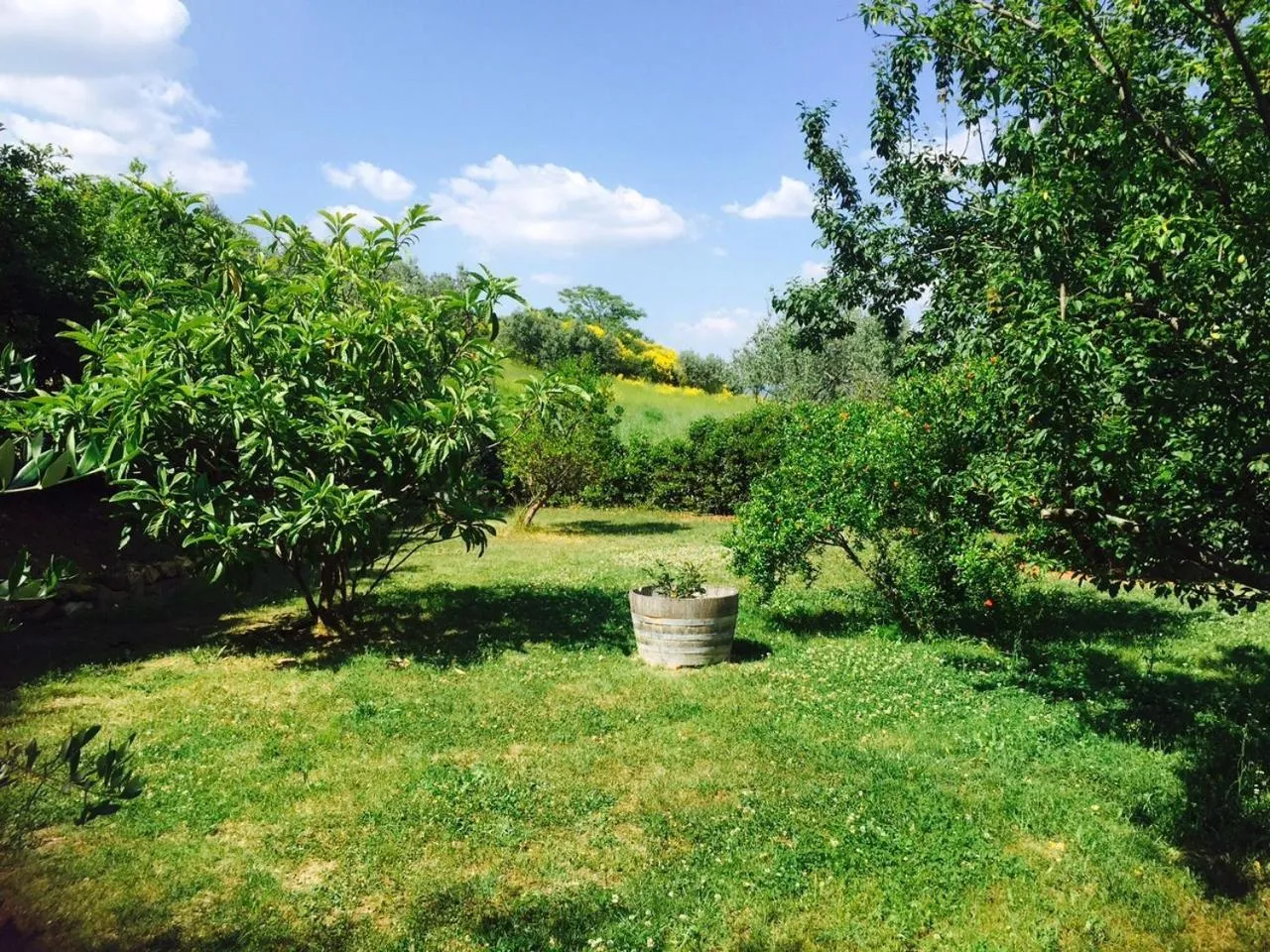 Natural landscape in Rosso Del Chianti