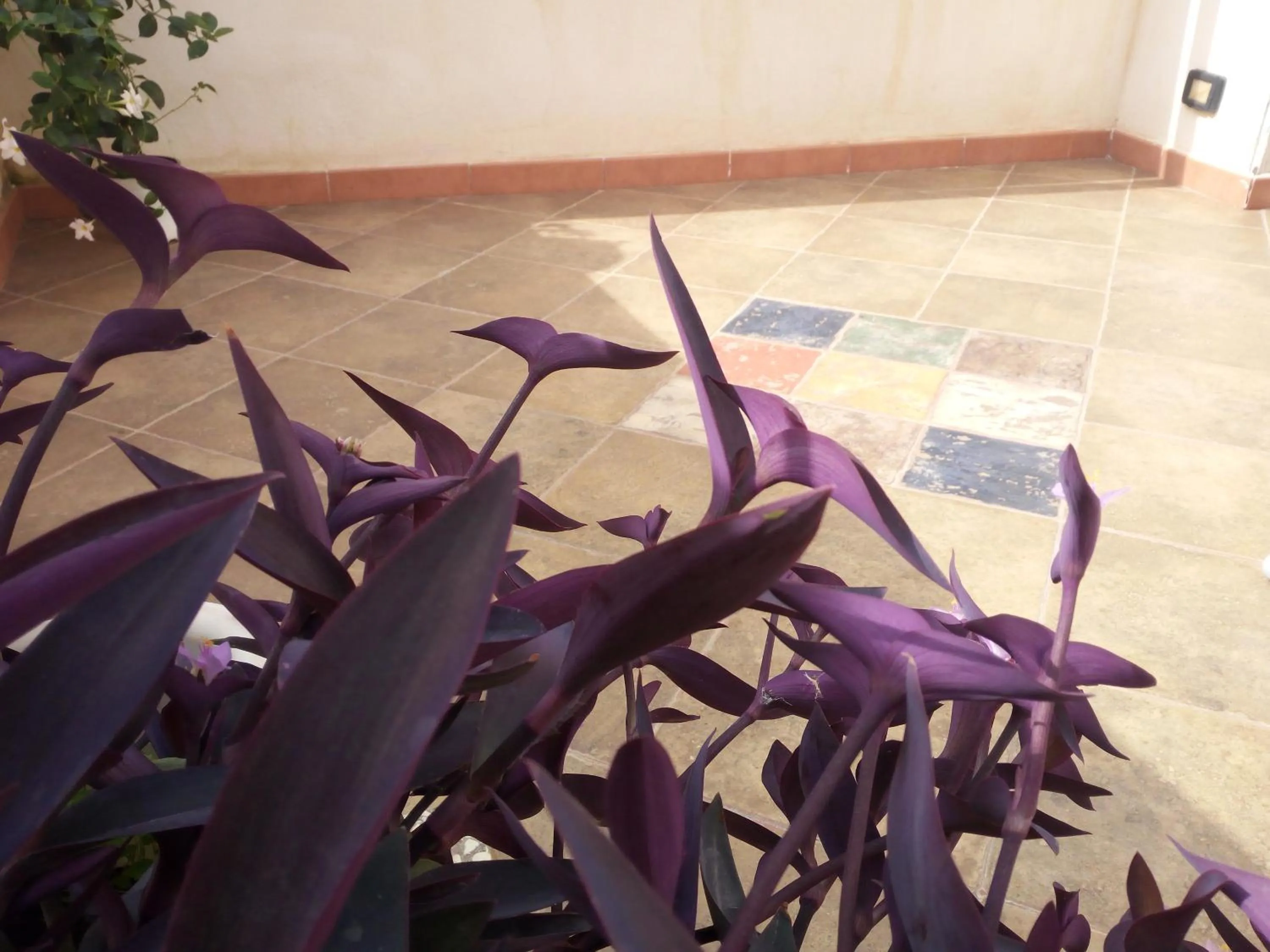 Decorative detail in B&B Al Centro Storico