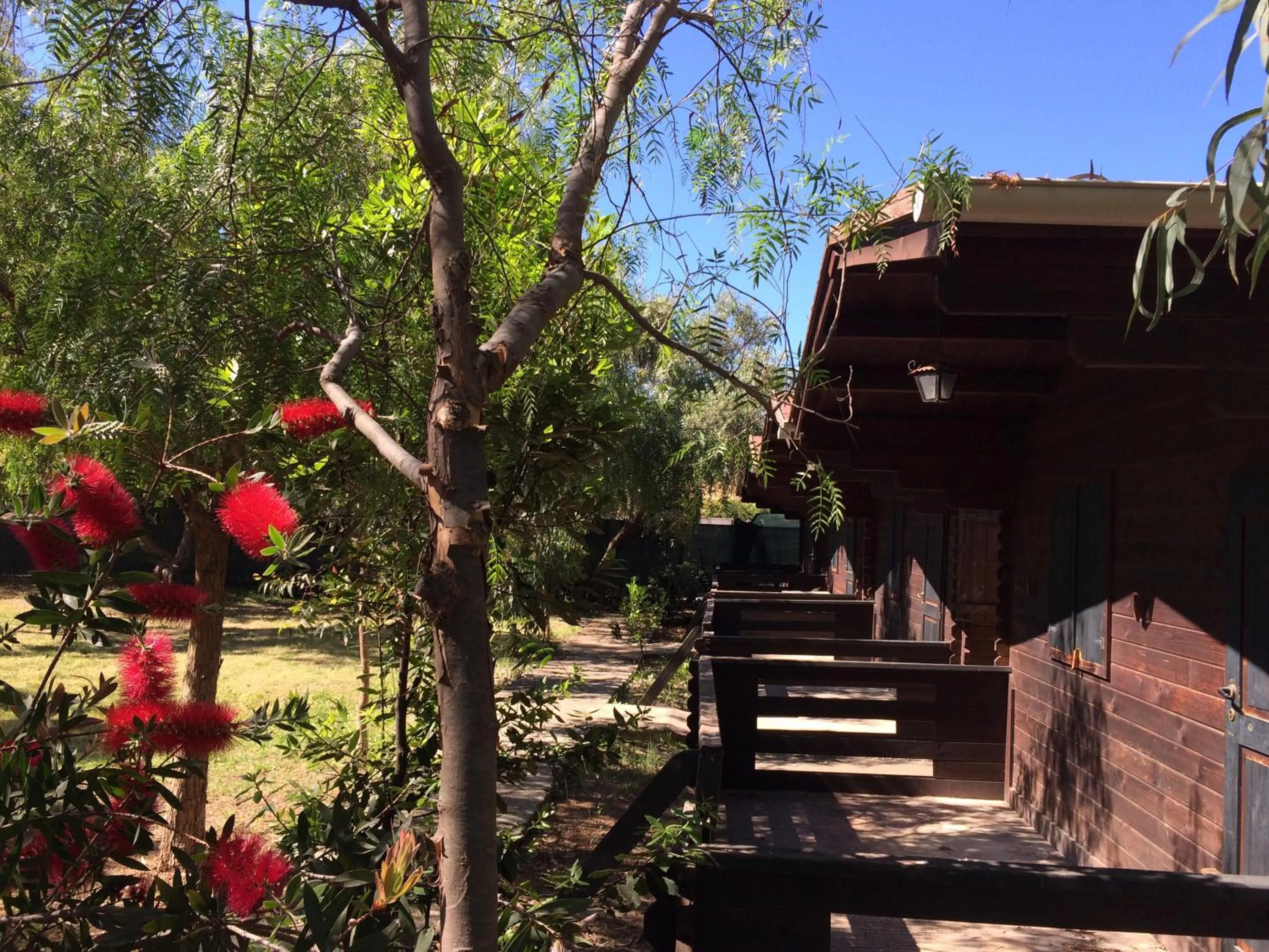 Balcony/Terrace in Camping Valle dei Templi