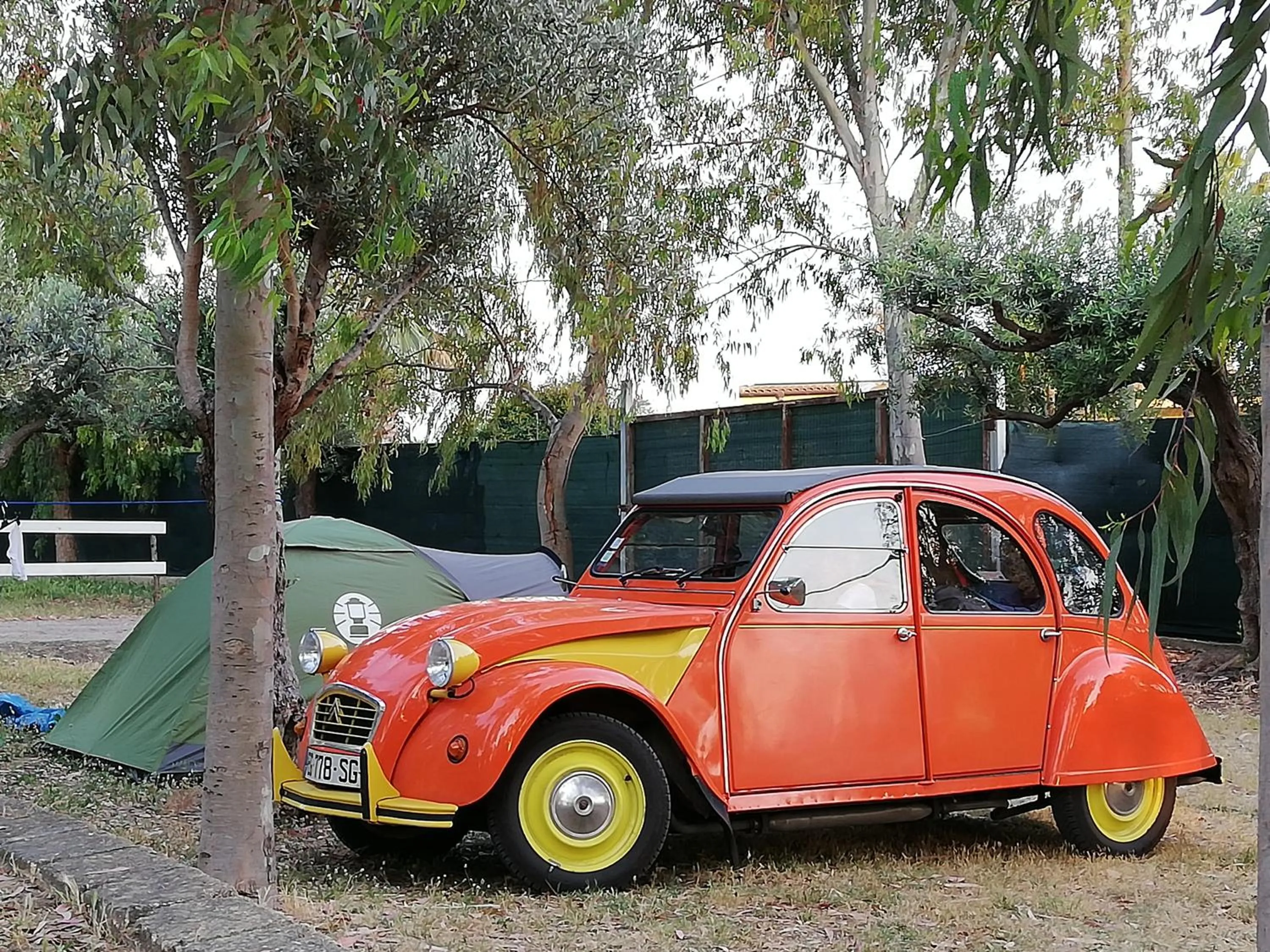 Garden in Camping Valle dei Templi