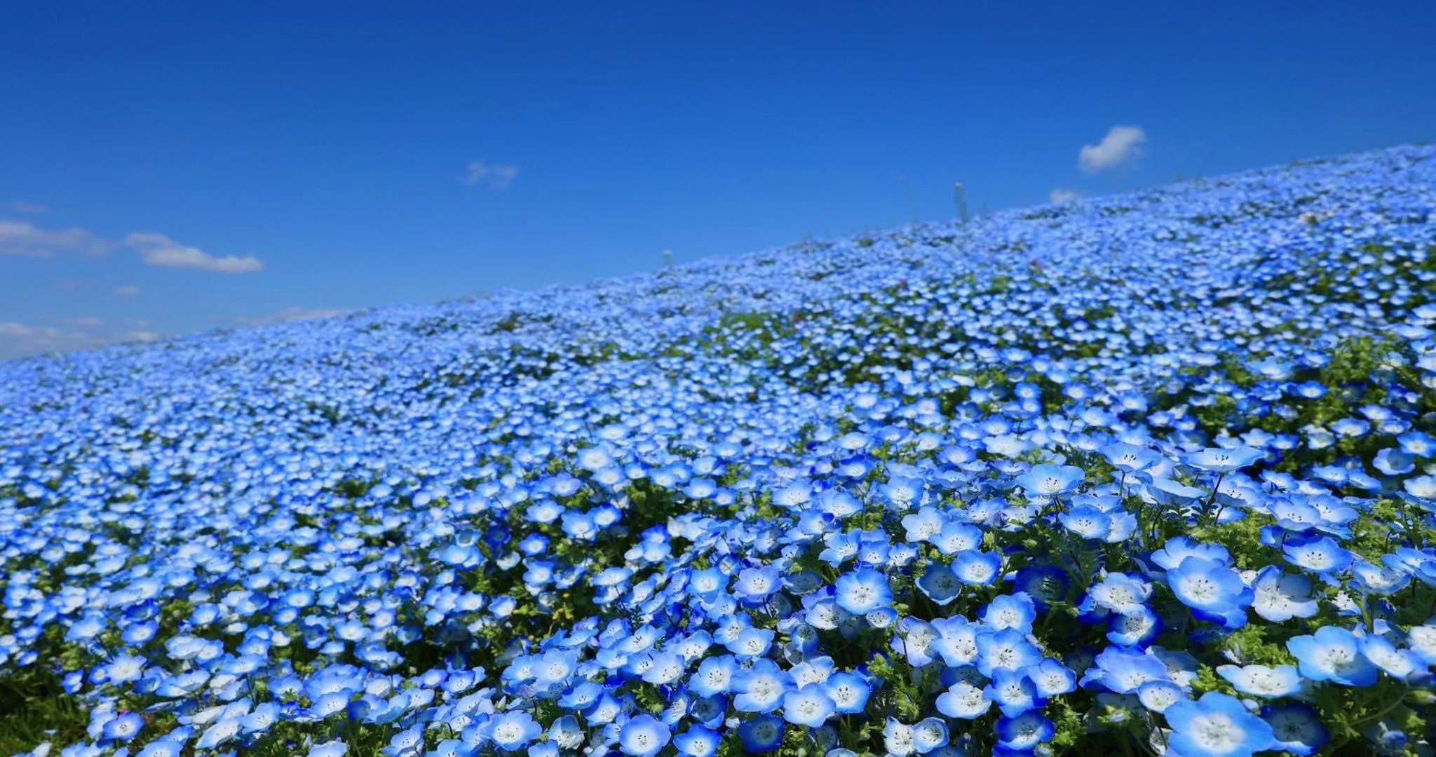 Nearby landmark in KAMENOI HOTEL Itako