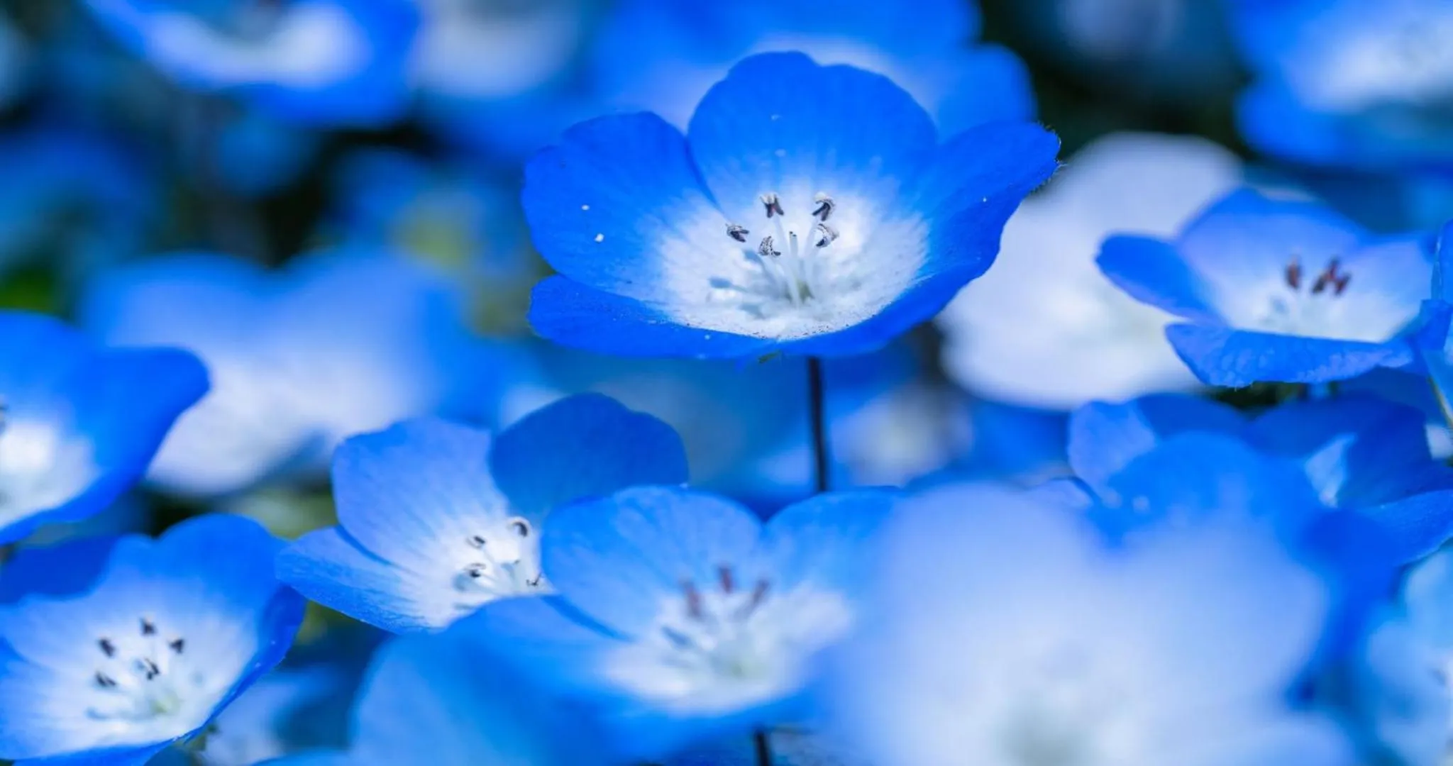 Nearby landmark in KAMENOI HOTEL Itako
