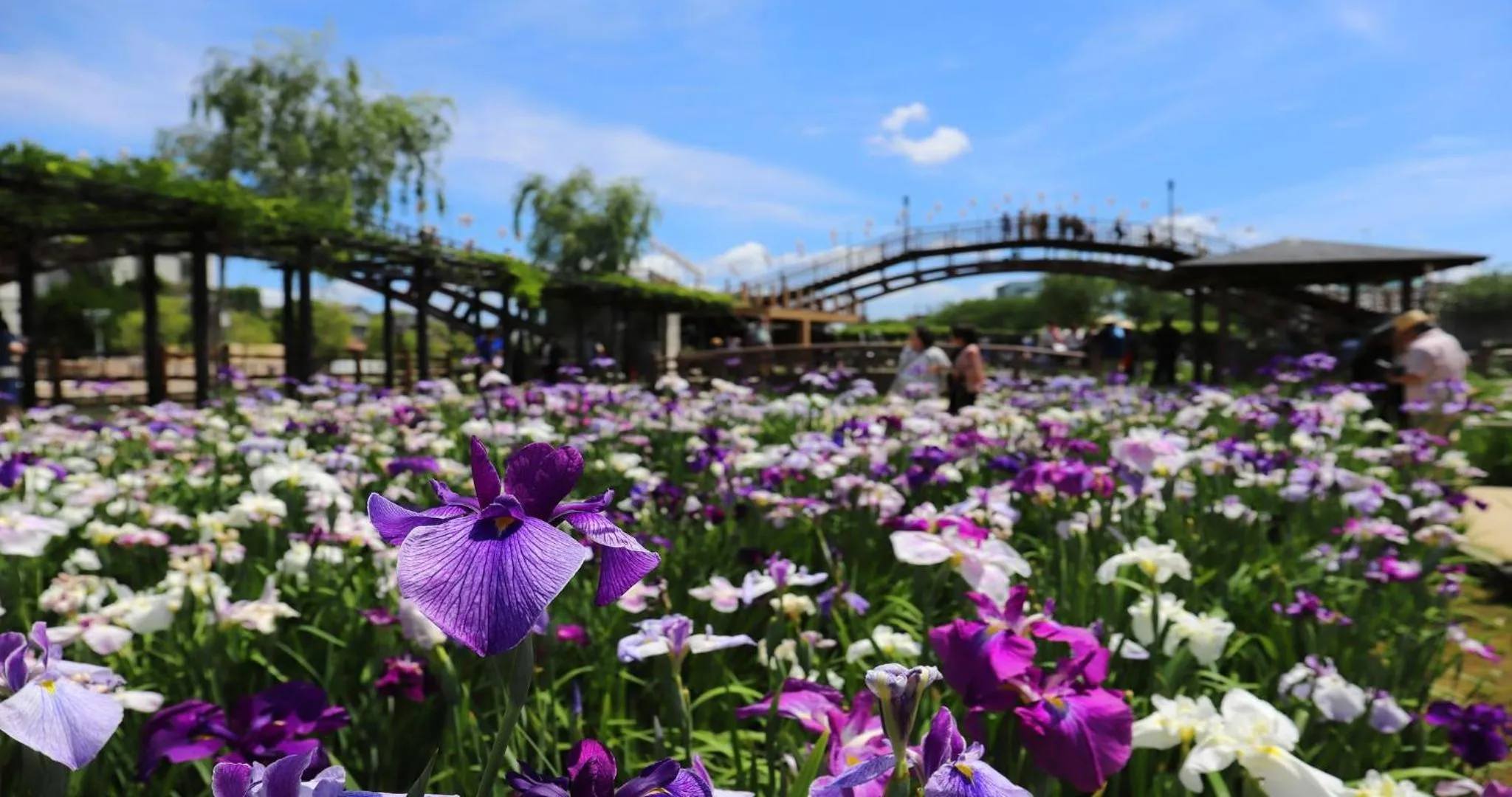 Nearby landmark in KAMENOI HOTEL Itako
