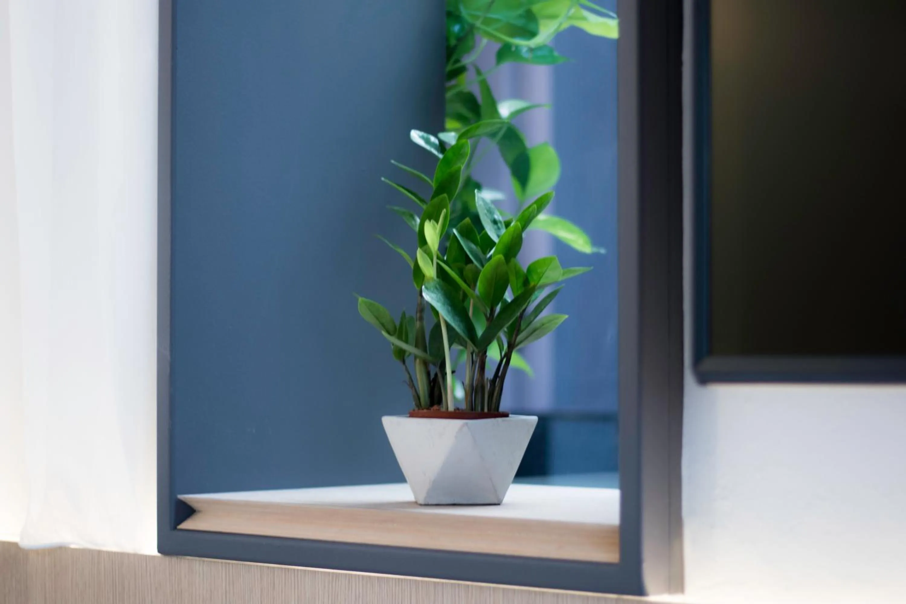 Decorative detail in Hotel NuVe Elements