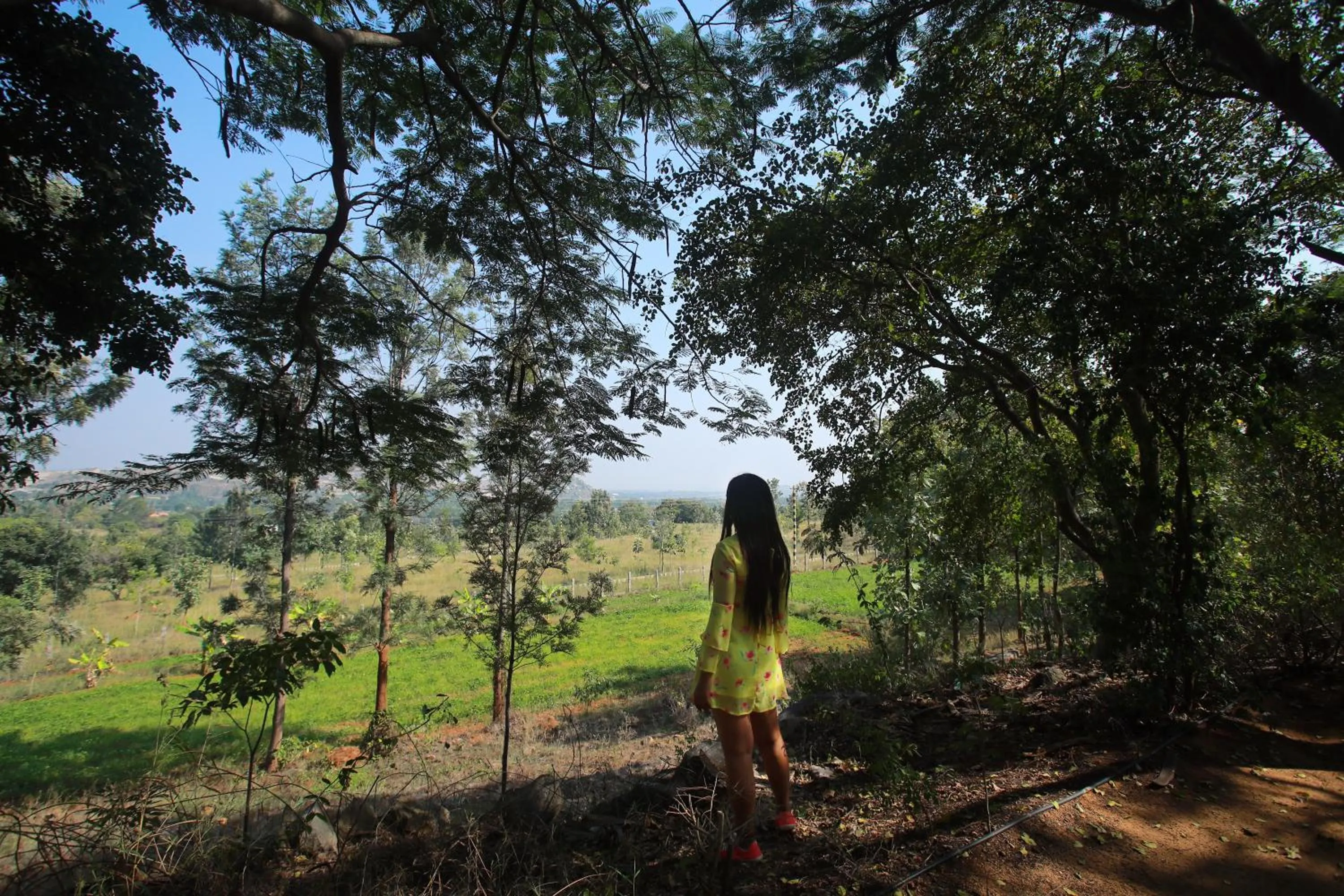 Natural landscape in Holiday Valley Hotels And Resorts