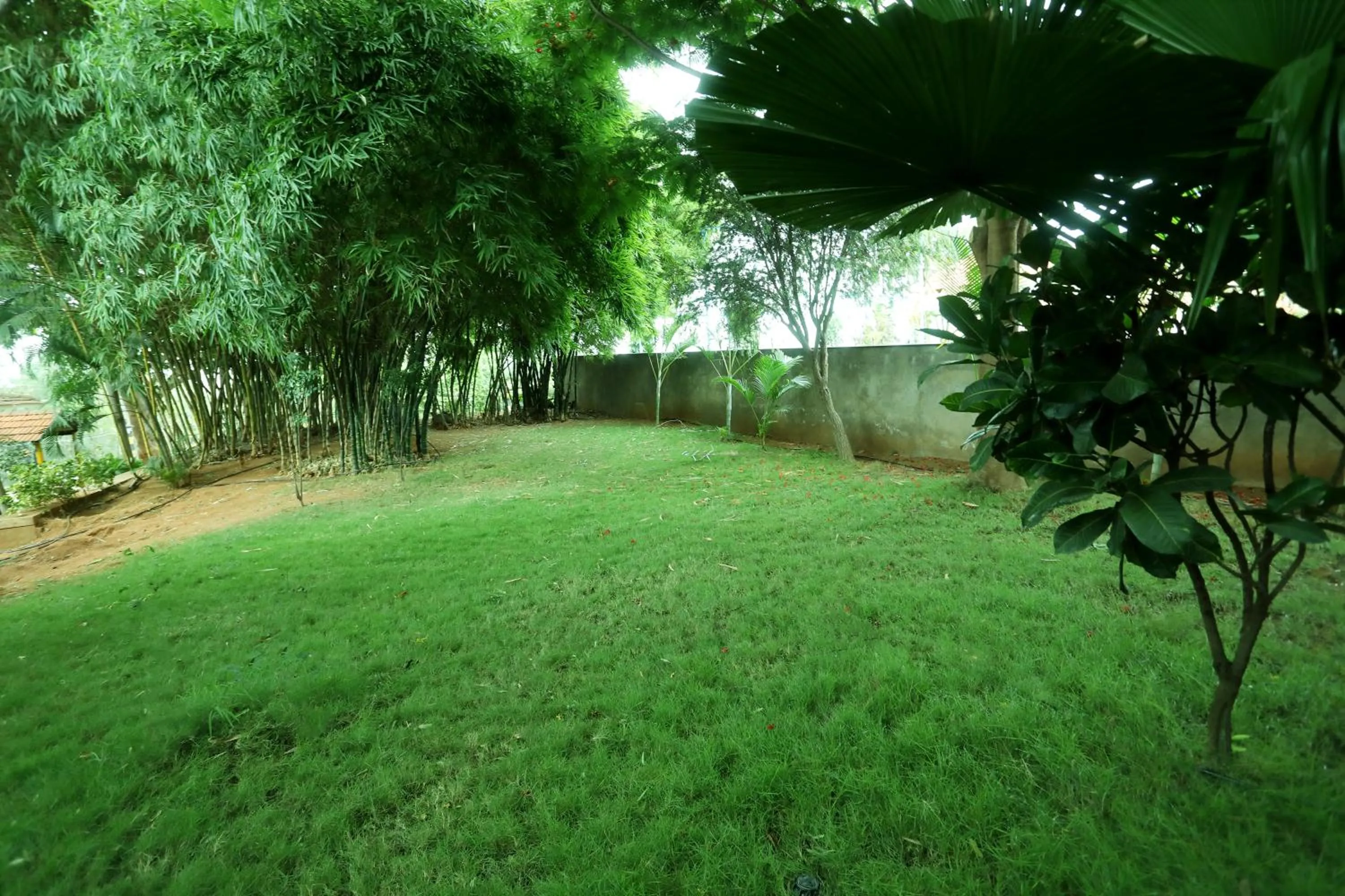 Natural landscape in Holiday Valley Hotels And Resorts