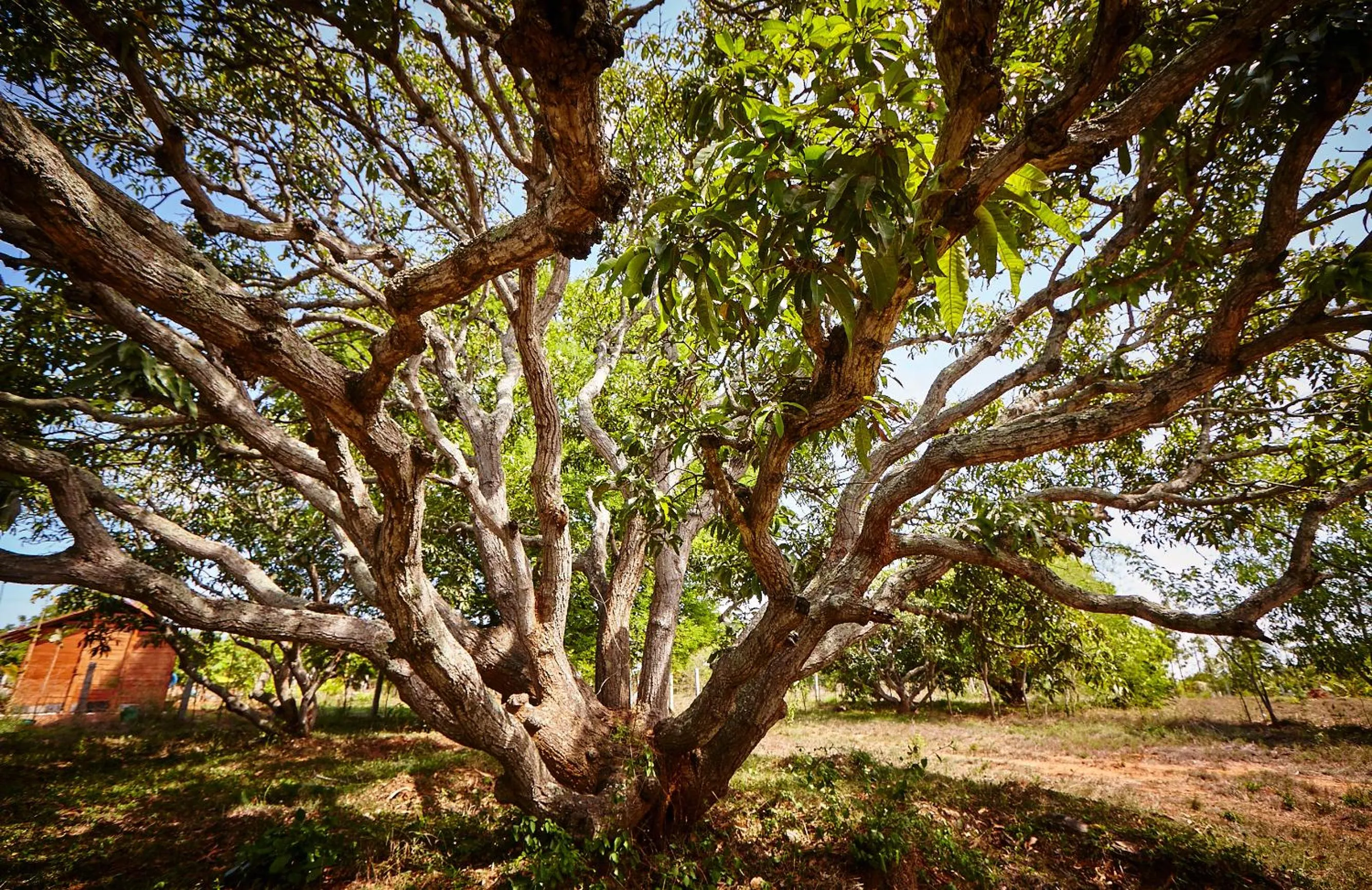Natural landscape in Holiday Valley Hotels And Resorts