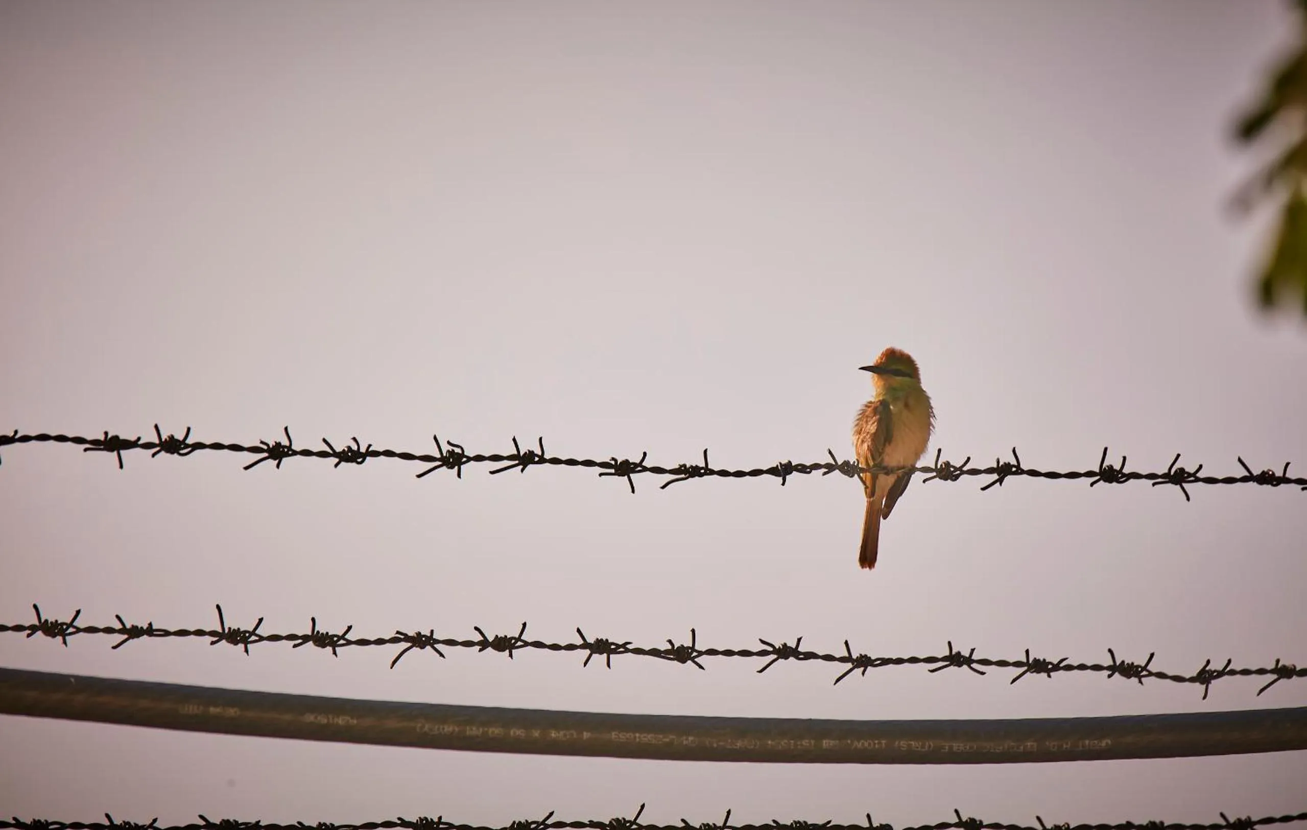 Holiday Valley Hotels And Resorts