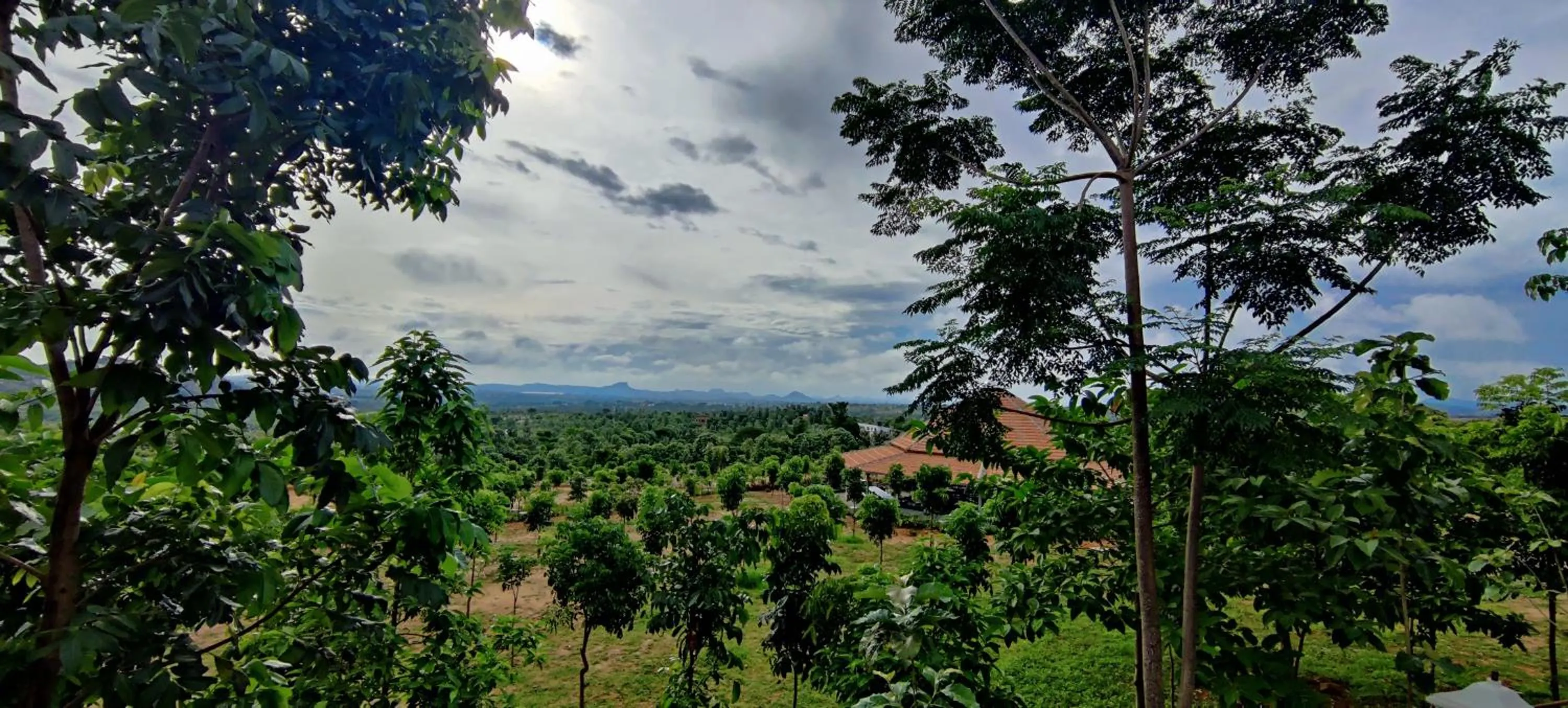 Holiday Valley Hotels And Resorts