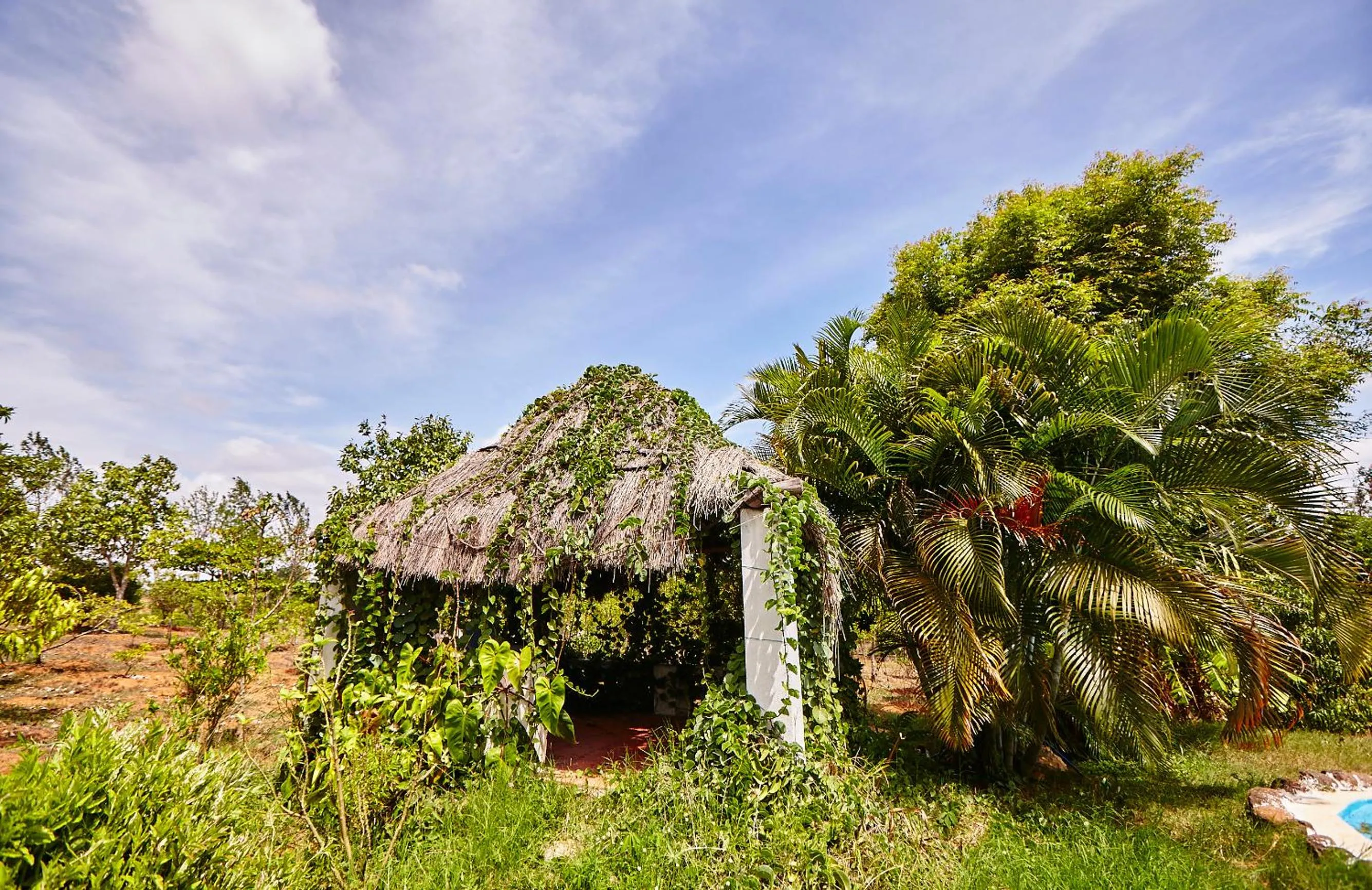 Natural landscape in Holiday Valley Hotels And Resorts