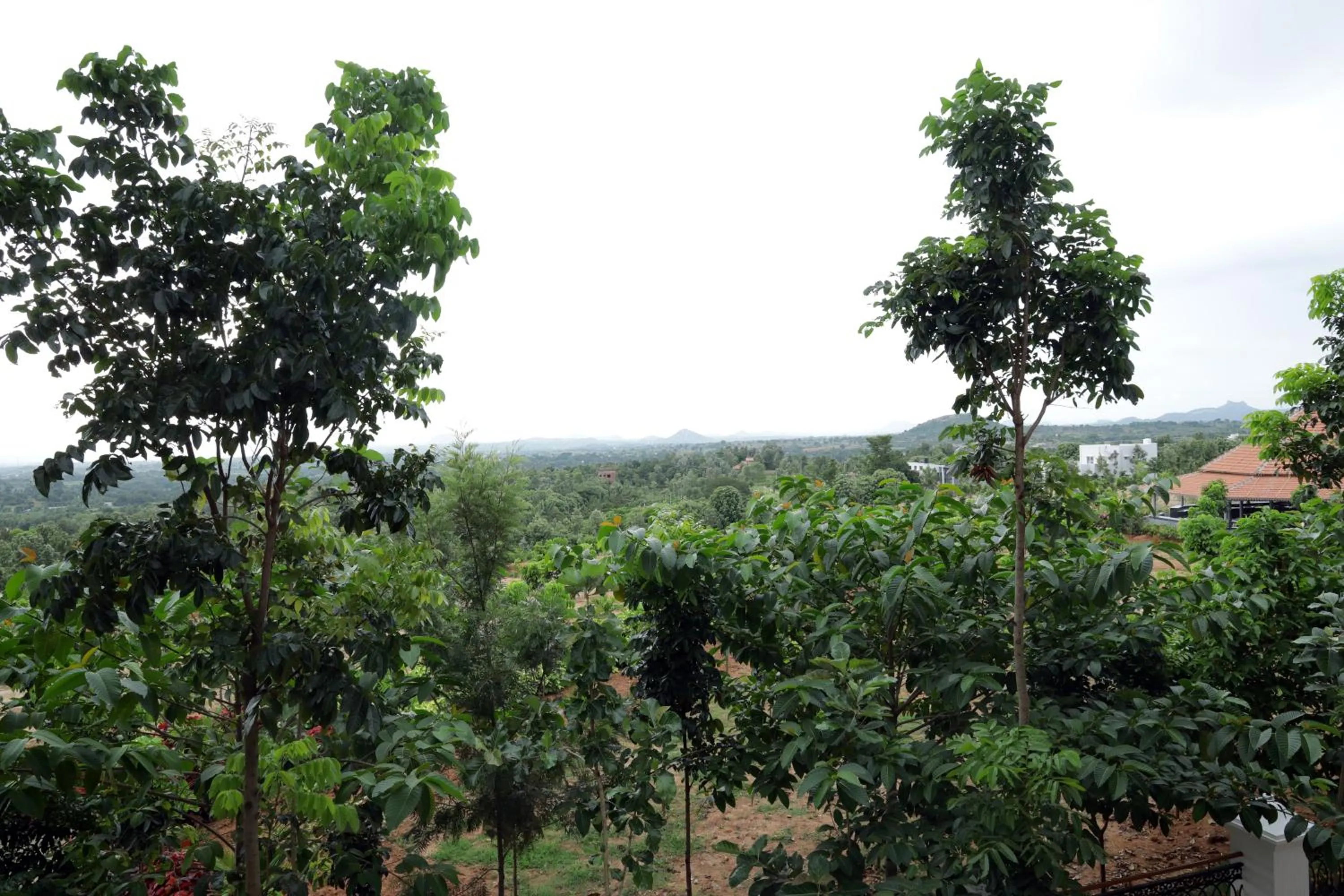 Holiday Valley Hotels And Resorts