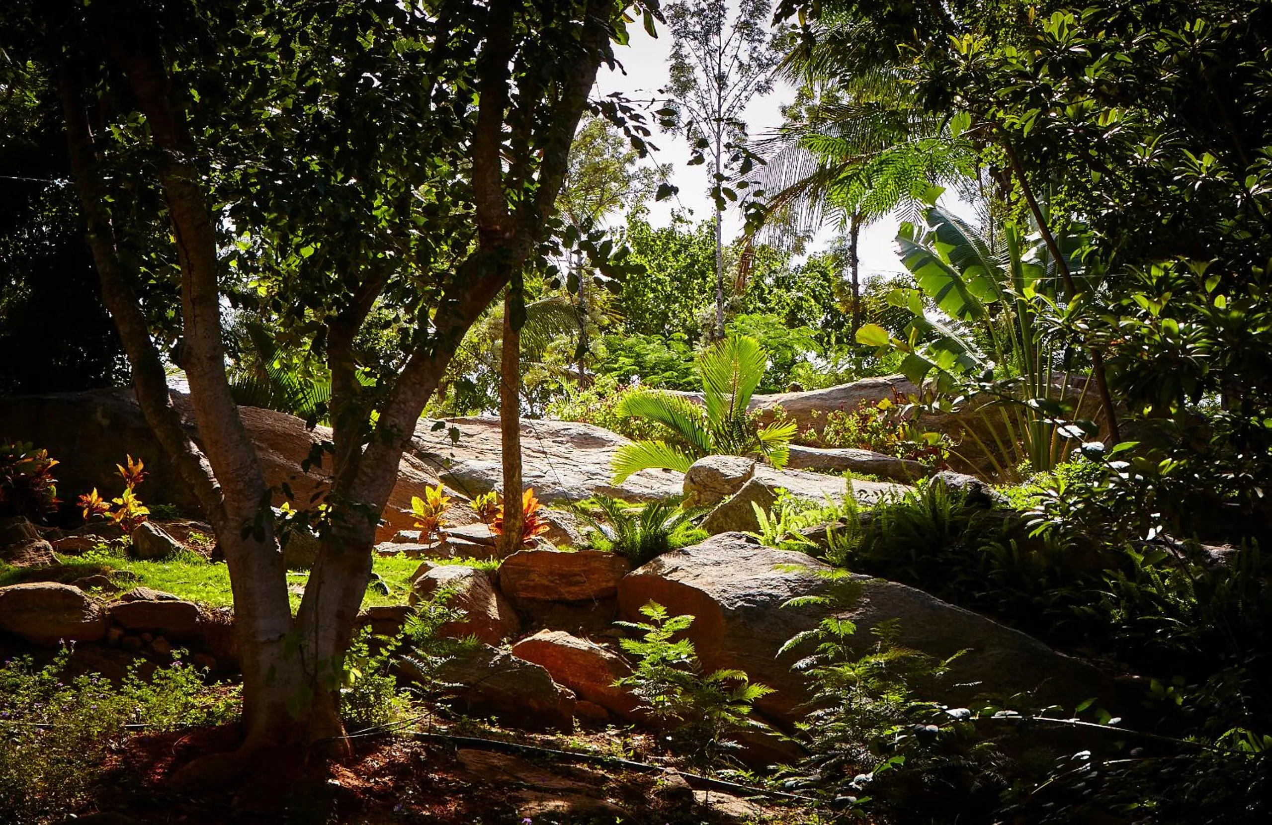 Natural landscape in Holiday Valley Hotels And Resorts