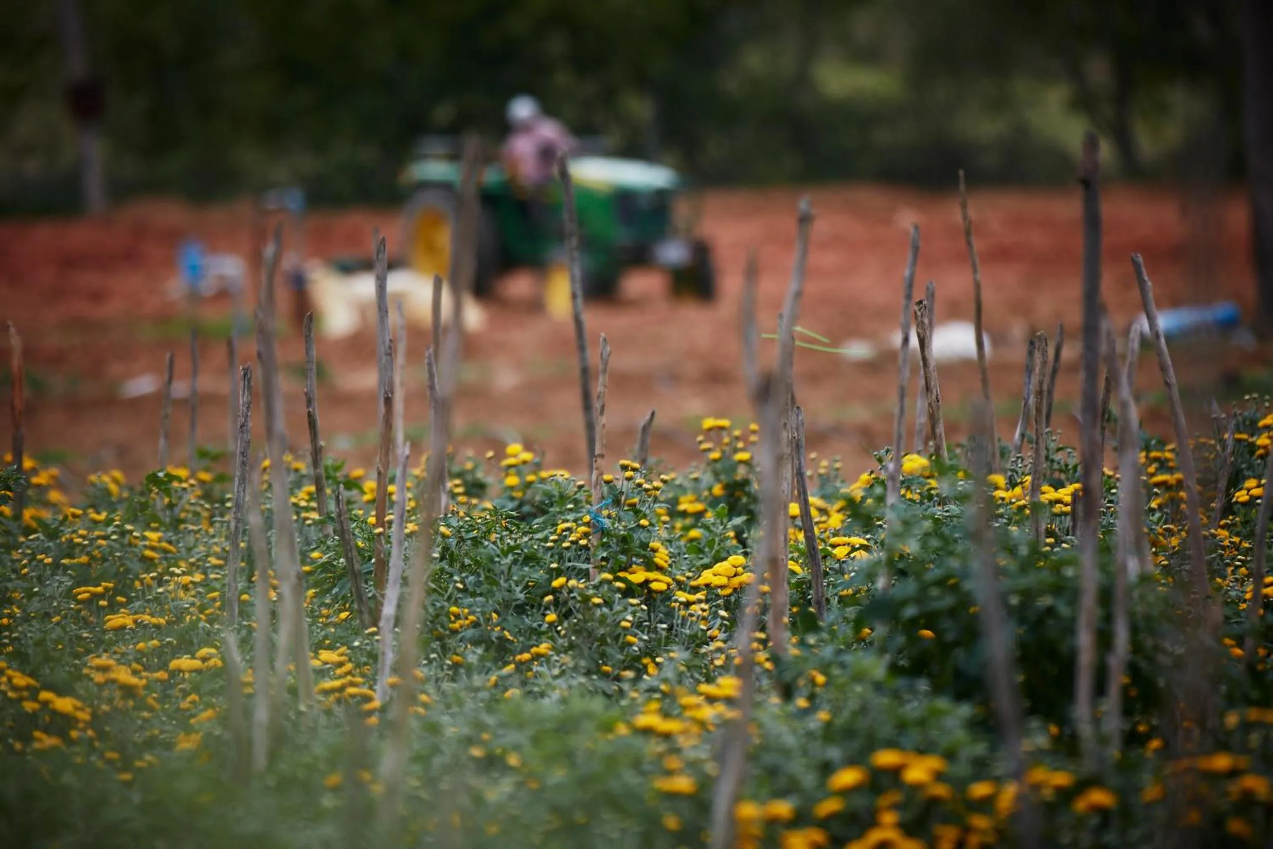 Holiday Valley Hotels And Resorts