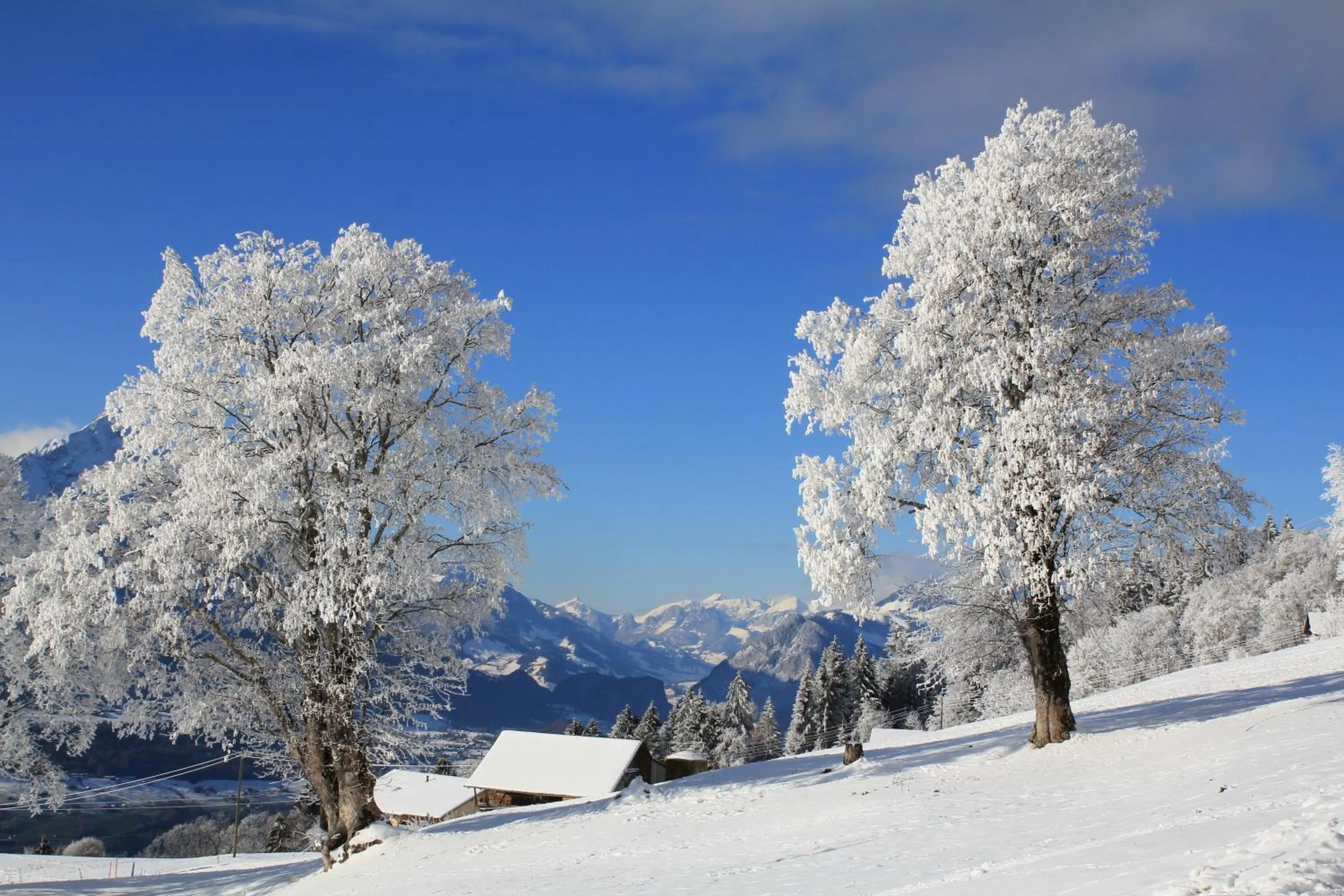 Natural landscape in Hotel Zeit & Traum Privat SPA