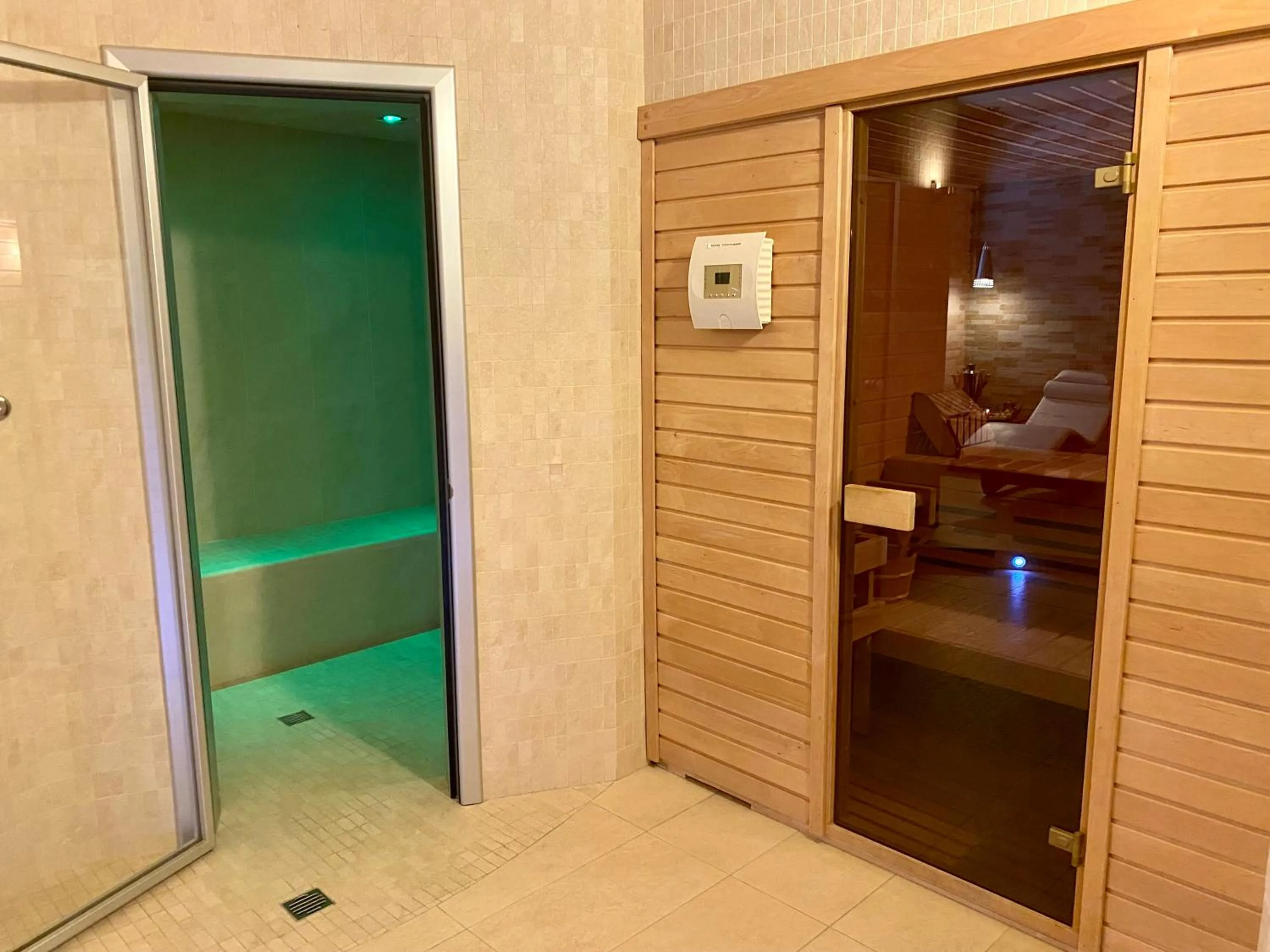 Spa and wellness centre/facilities in Hotel Palace Magnolia SPA