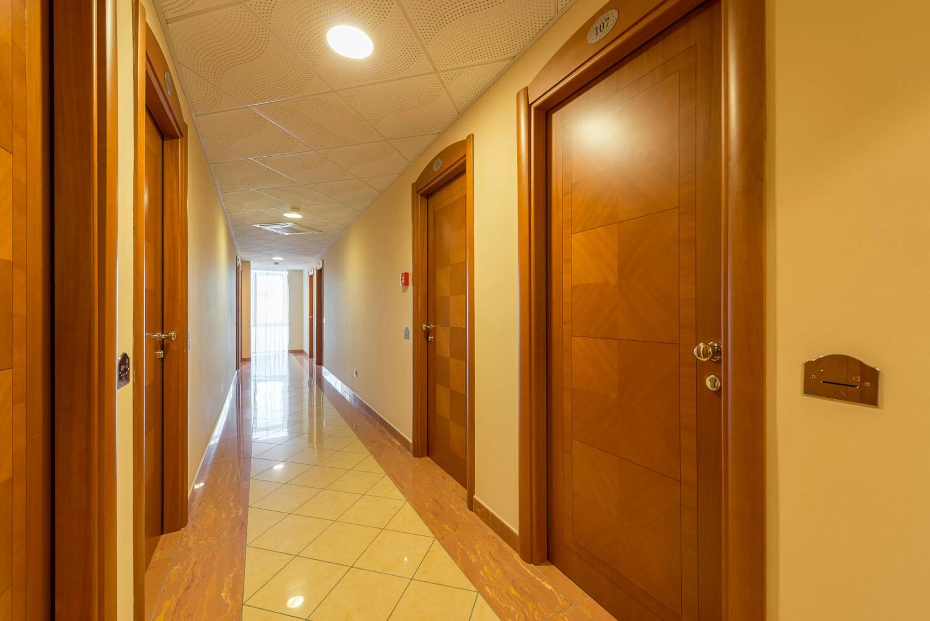 Other in Hotel Palace Magnolia SPA