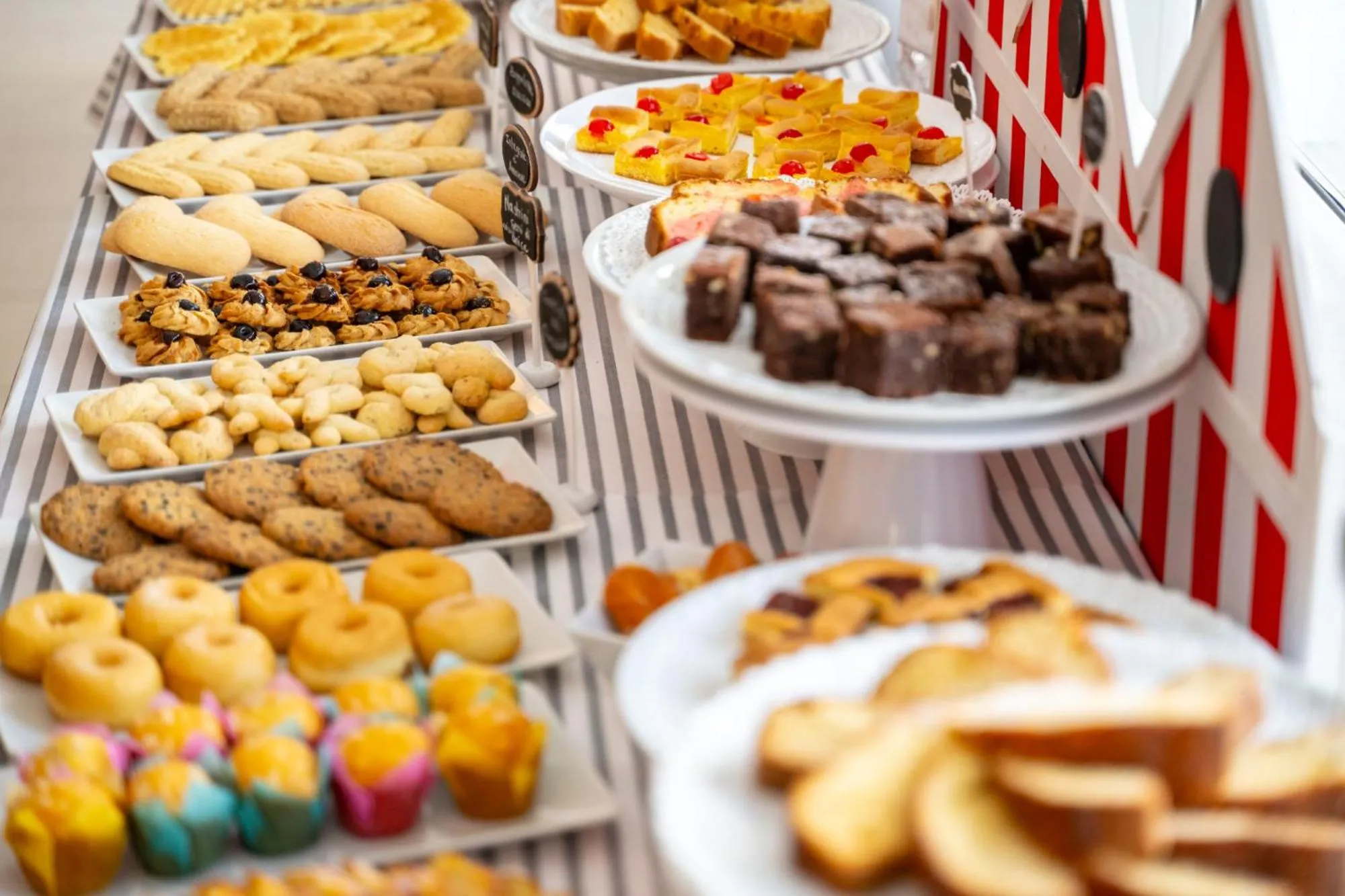 Food and drinks in Hotel Palace Magnolia SPA