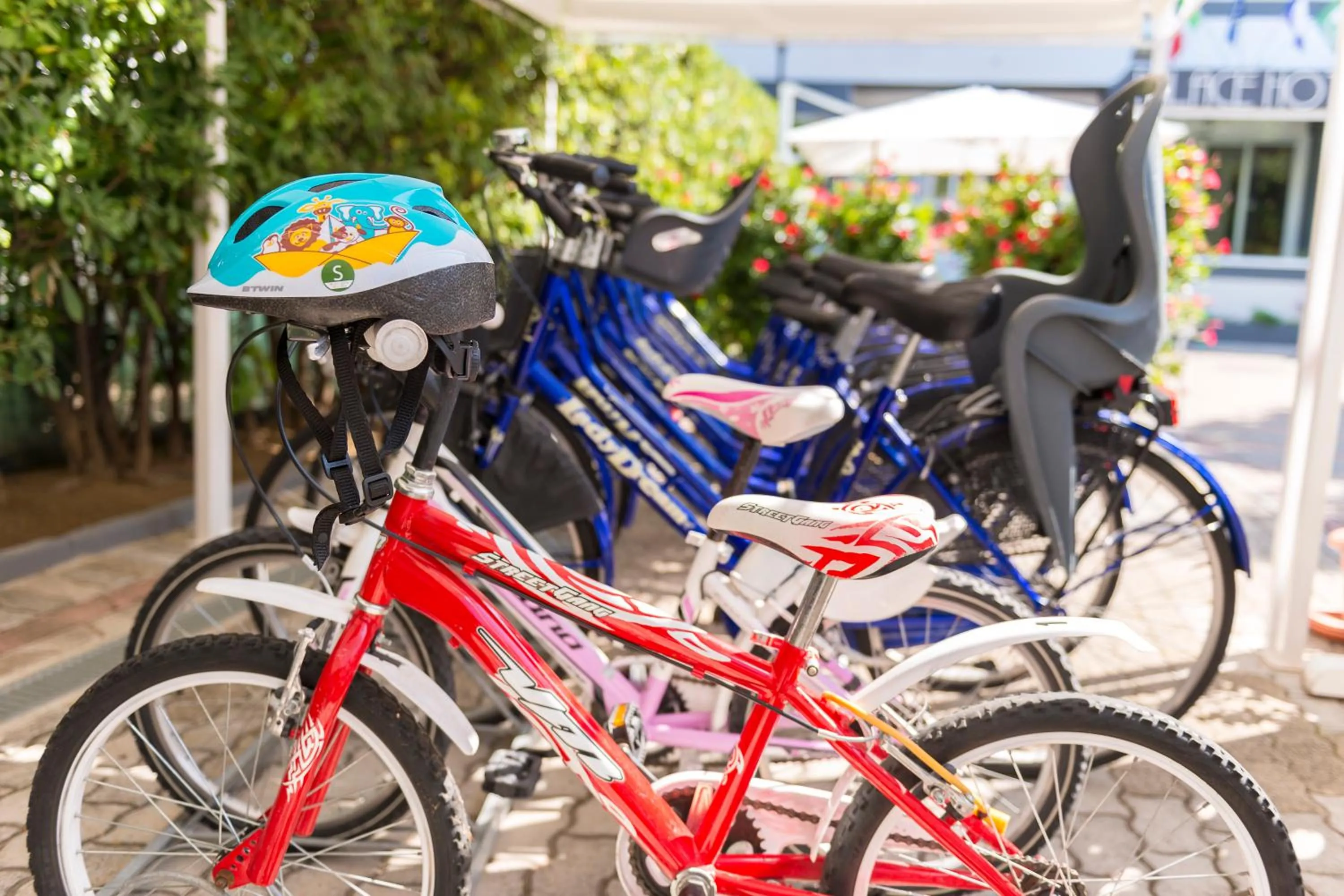 Other in Hotel Palace Magnolia SPA