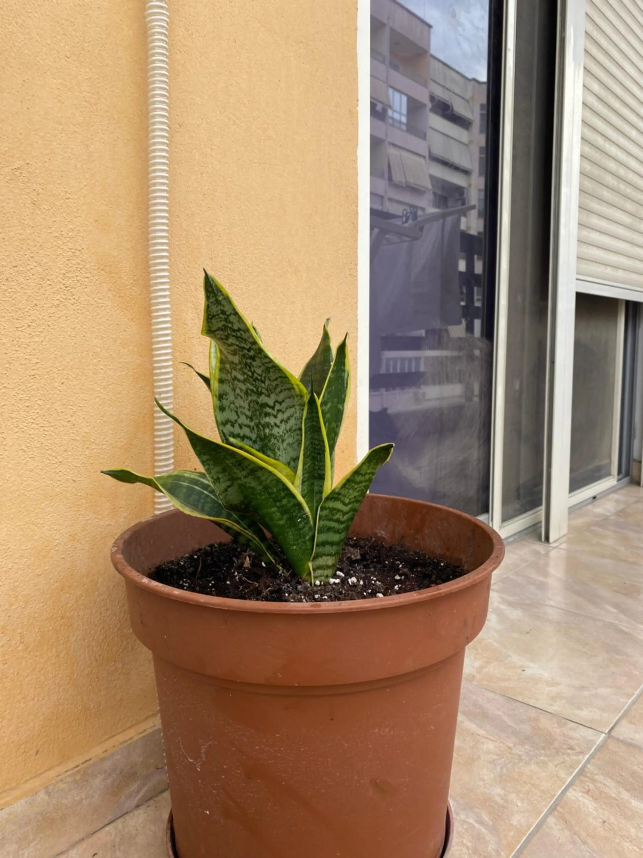 Property building in Home Sweet Home - Guest House