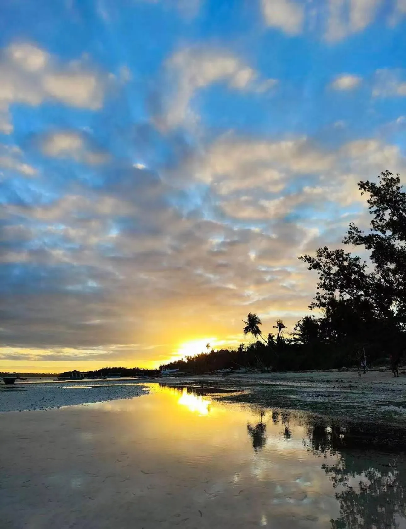 Property building in Bohol Panglao Begonia Resort
