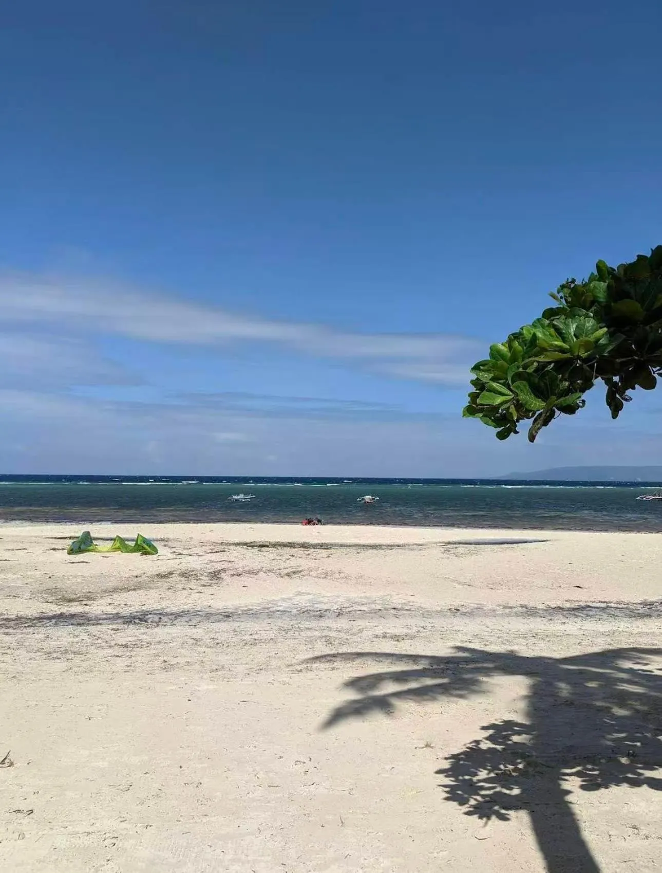 Bohol Panglao Begonia Resort