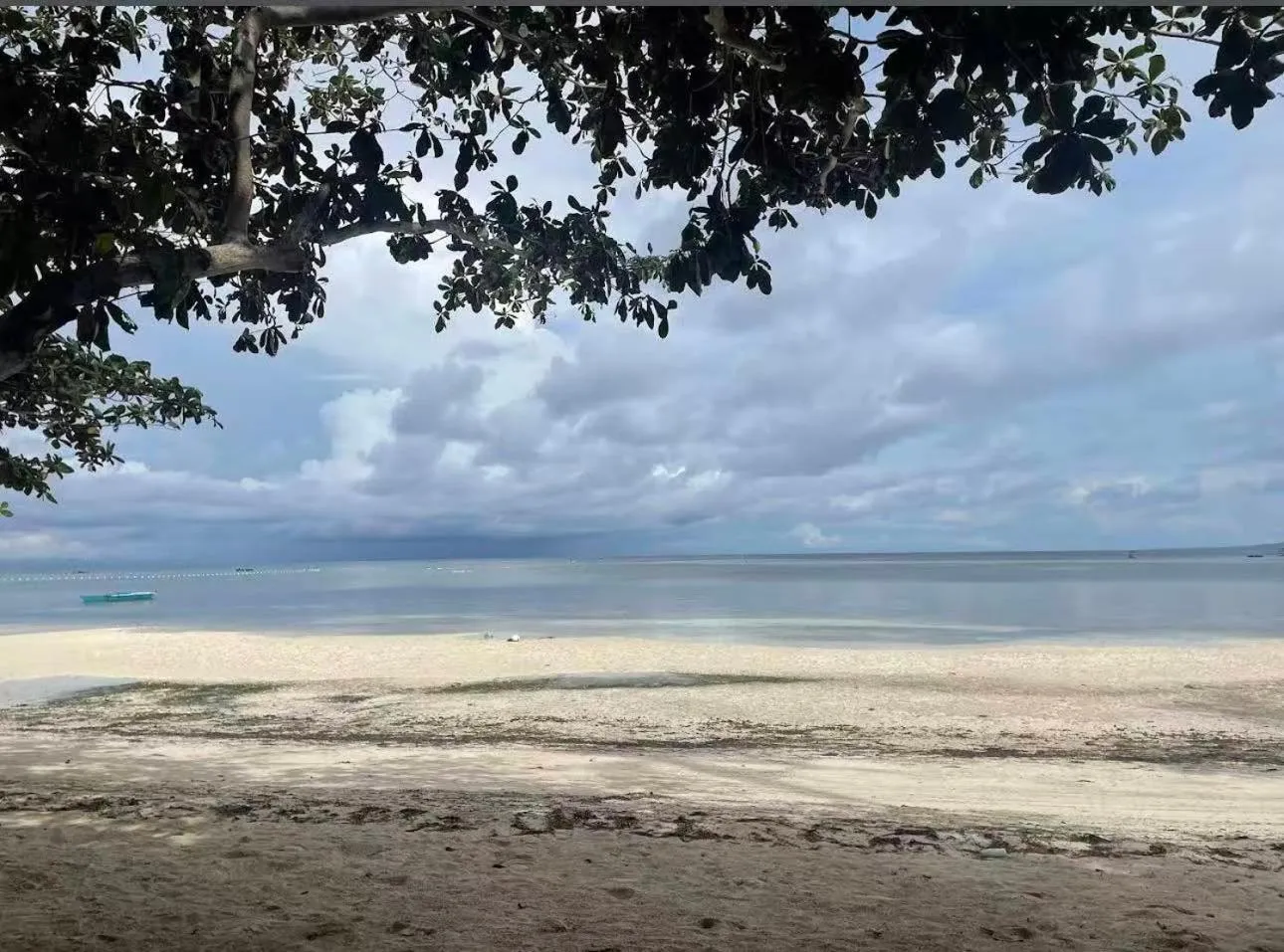 Property building in Bohol Panglao Begonia Resort