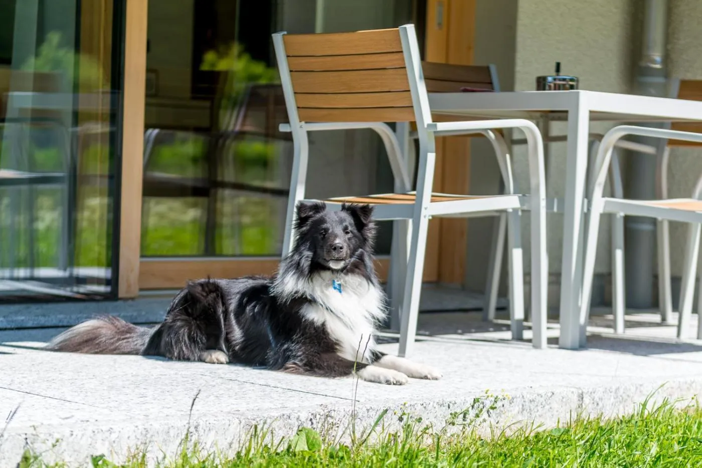 Animals in Montela Hotel & Resort - Suiten