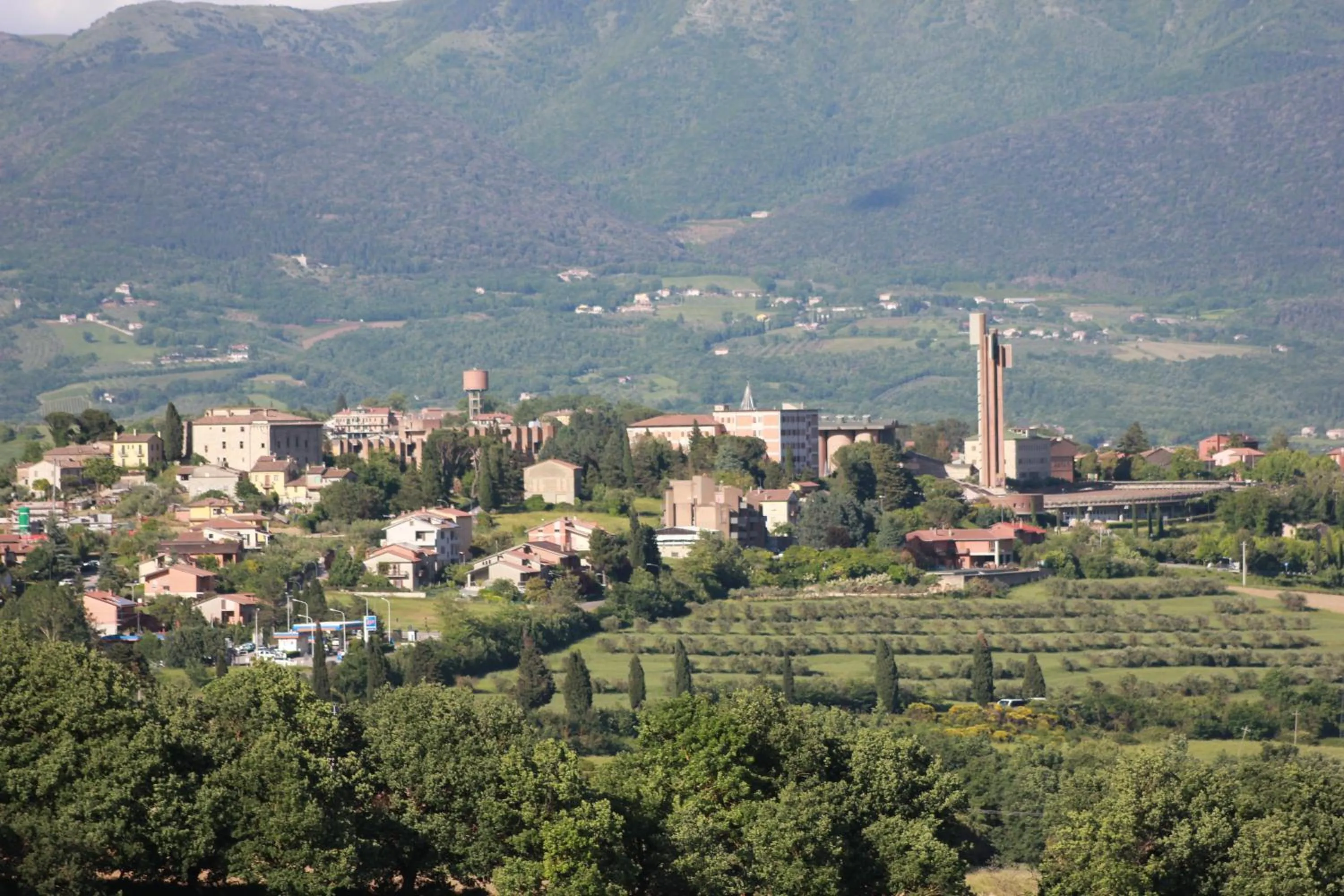 View (from property/room) in Il Focolare