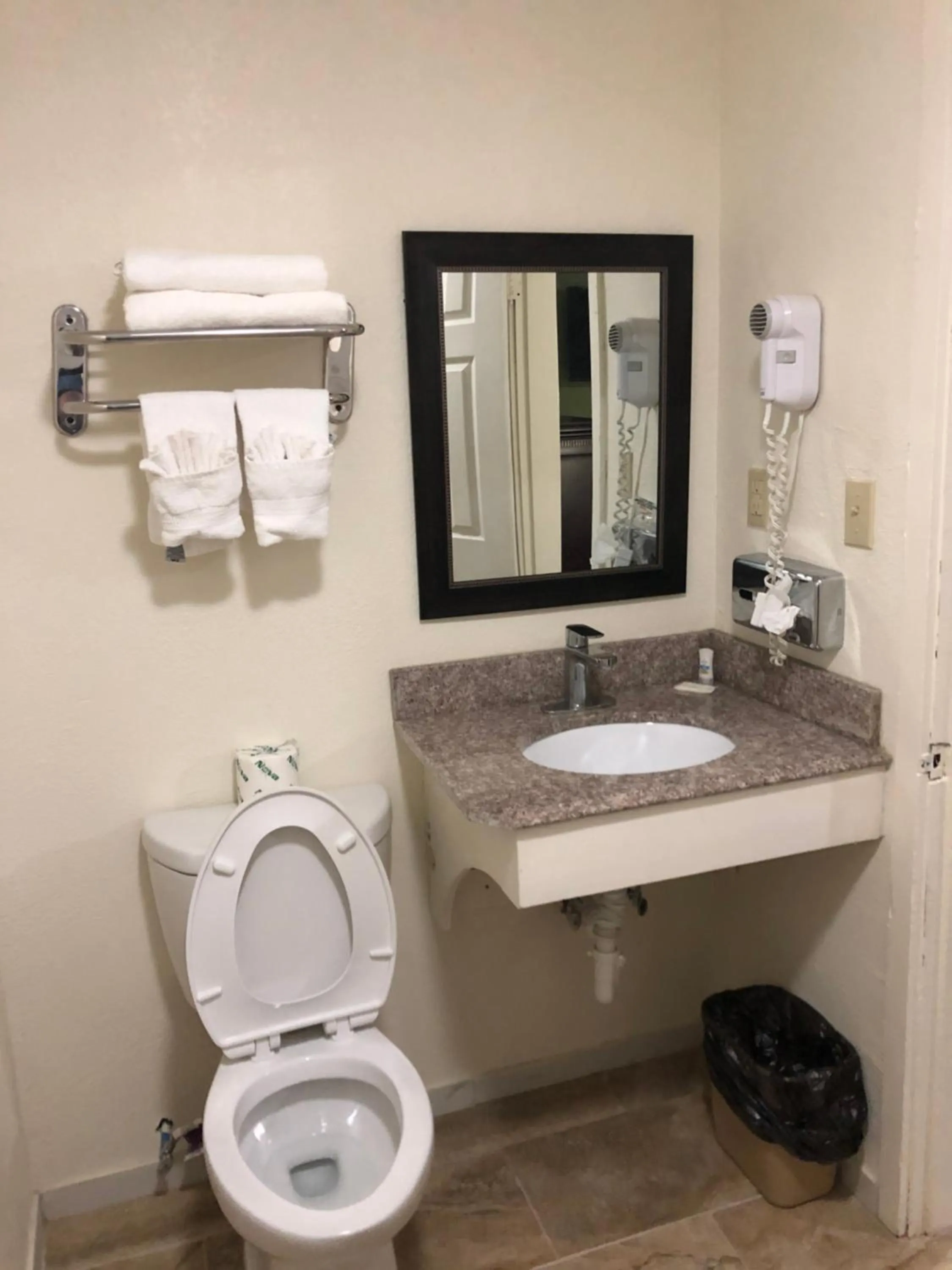 Toilet in Palomino Motel