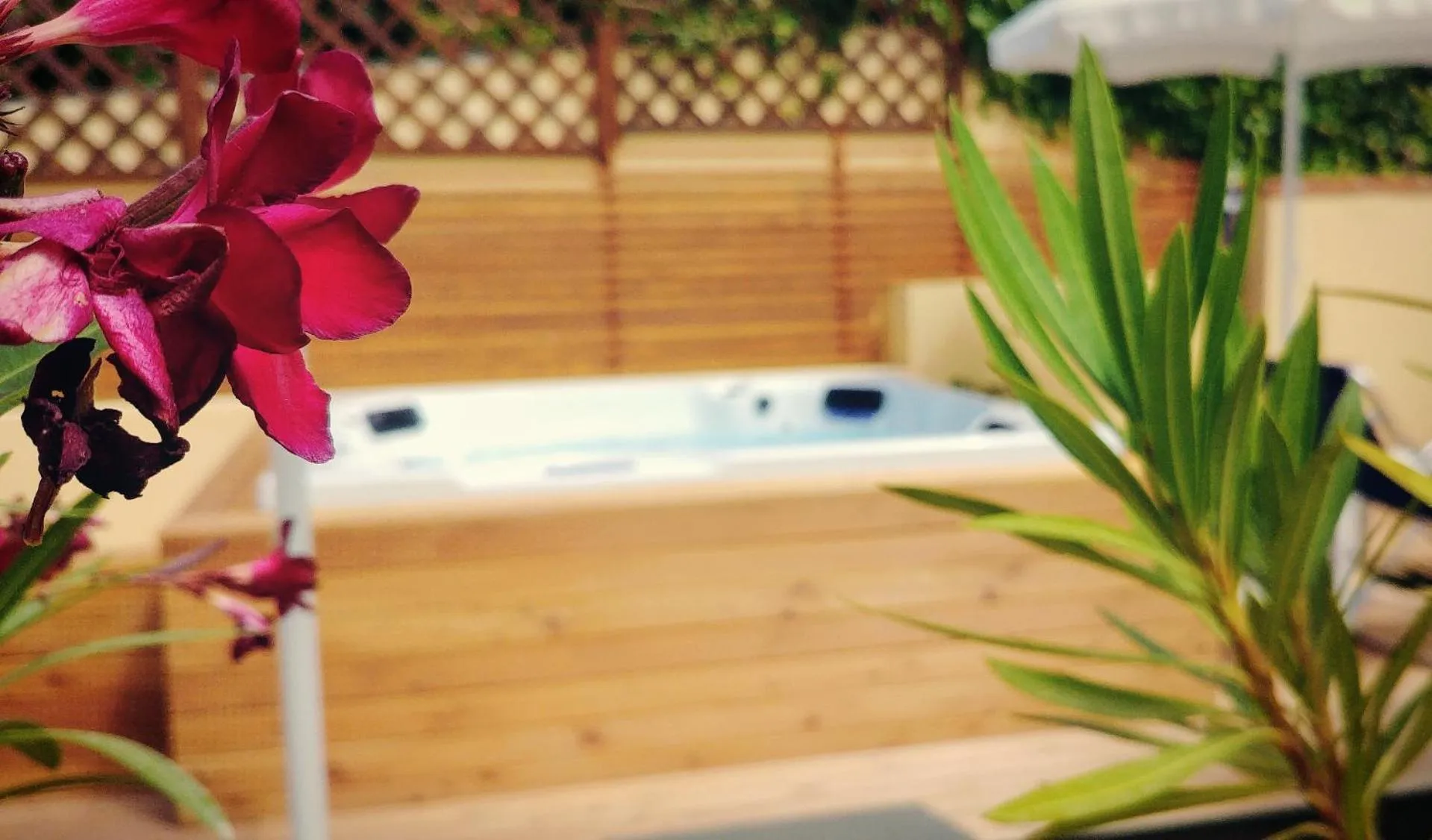 Garden view in Bed & Breakfast Tiziana