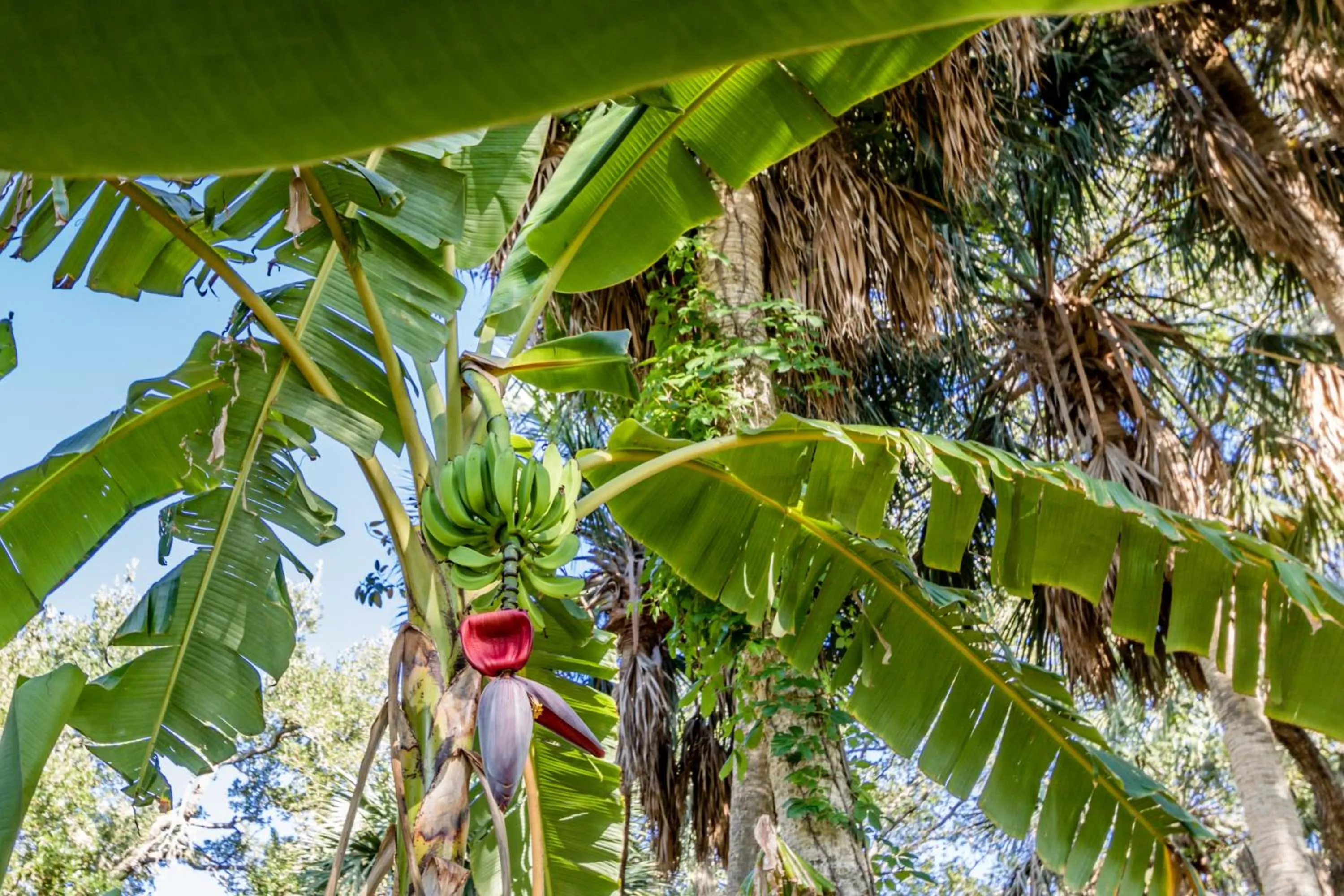 Property building in Island View Cottages Sebastian