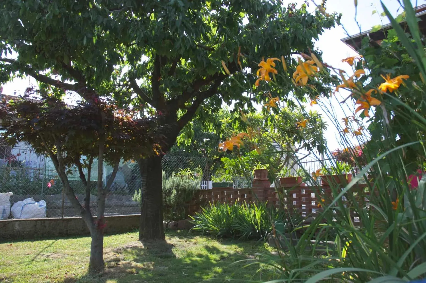 Garden in Villa Luisa B&B