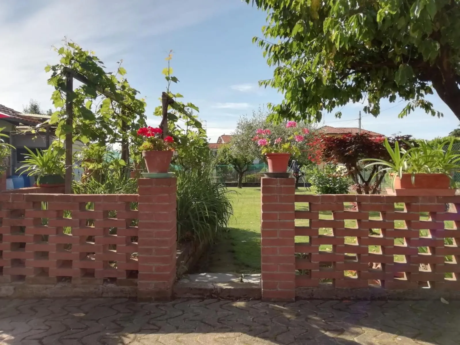 Garden in Villa Luisa B&B